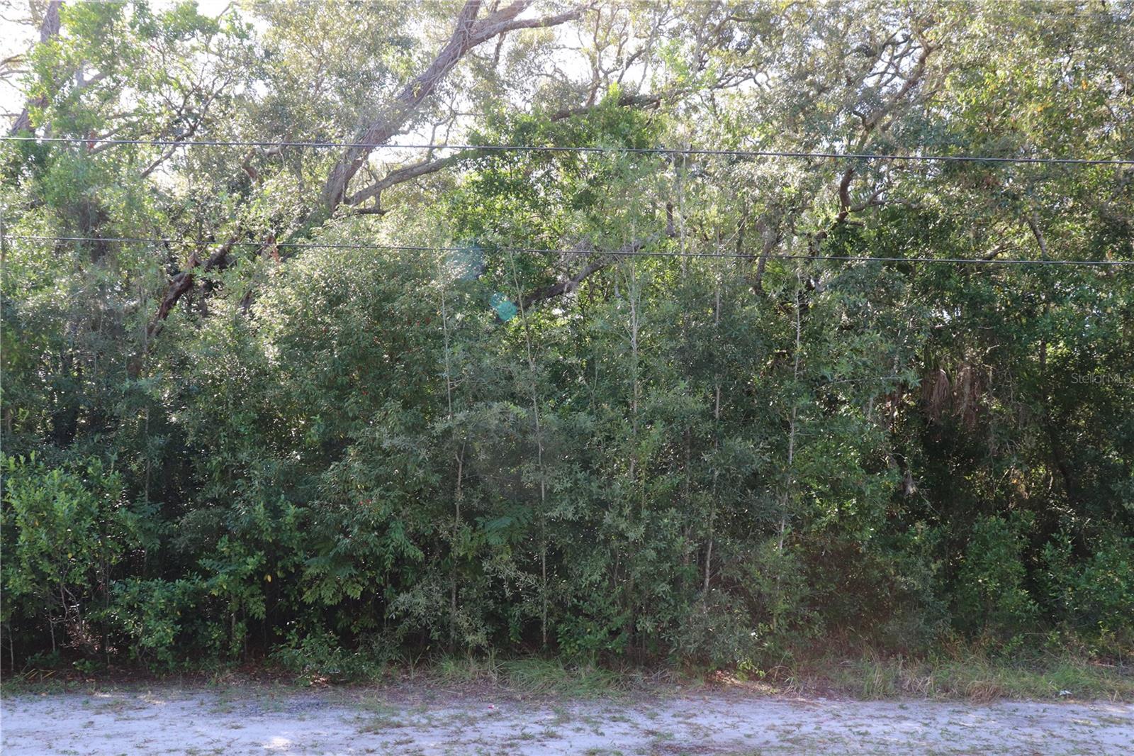 PROPERTY PROPERTY