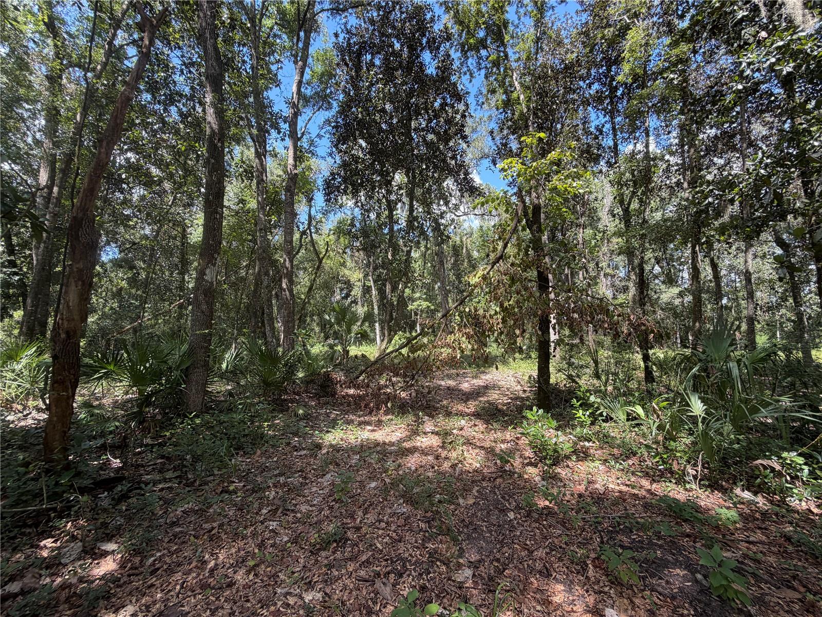 SW 25TH AVENUE, Chiefland, FL 32626 SW 25TH AVENUE, Chiefland, FL 32626