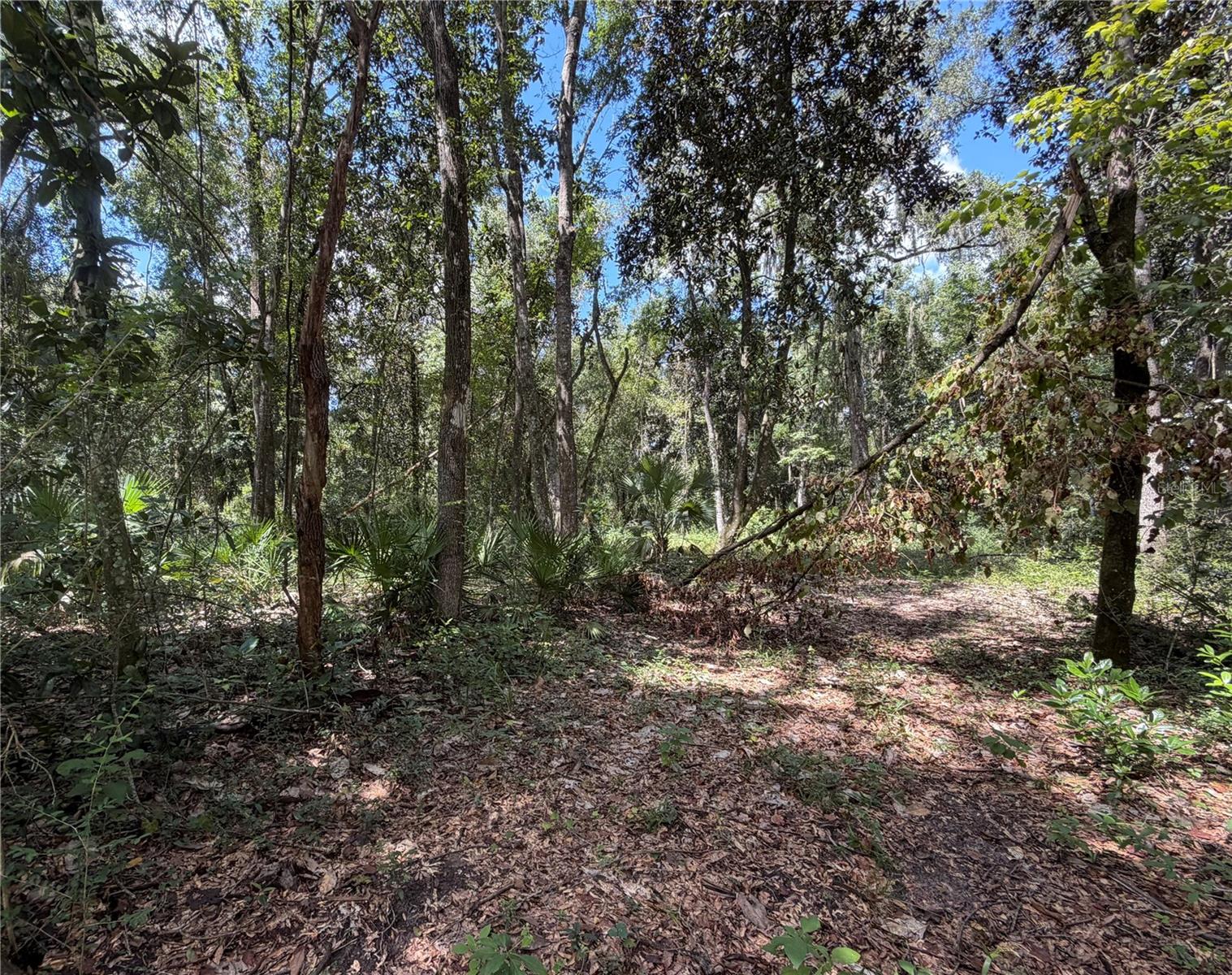SW 25TH AVENUE, Chiefland, FL 32626
