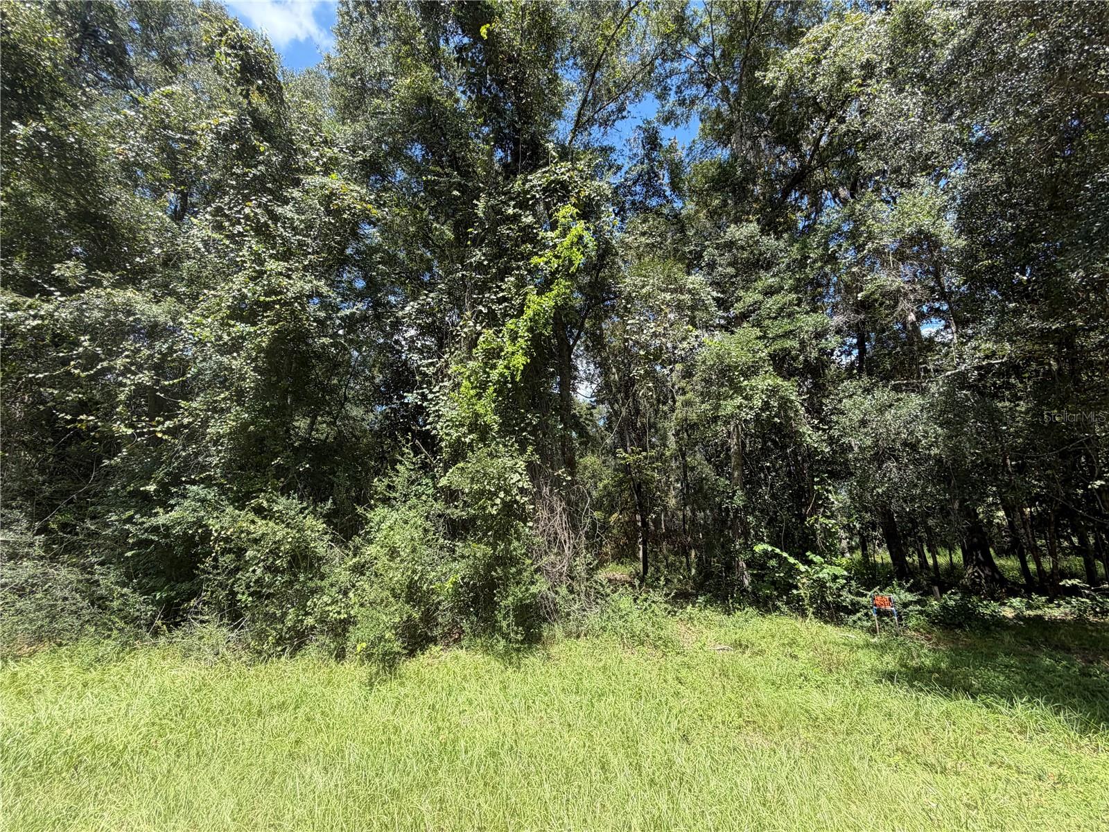 SW 25TH AVENUE, Chiefland, FL 32626 SW 25TH AVENUE, Chiefland, FL 32626
