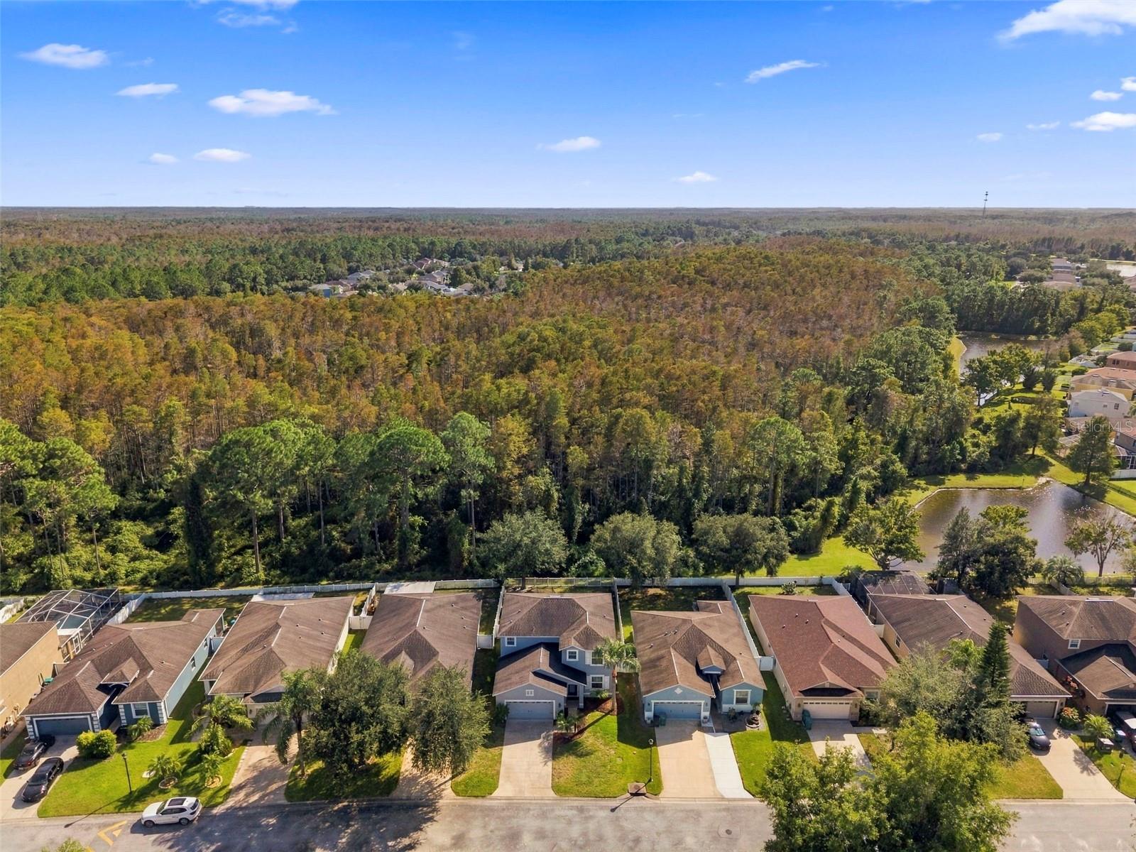 12832 SAULSTON PLACE, Hudson, FL 34669