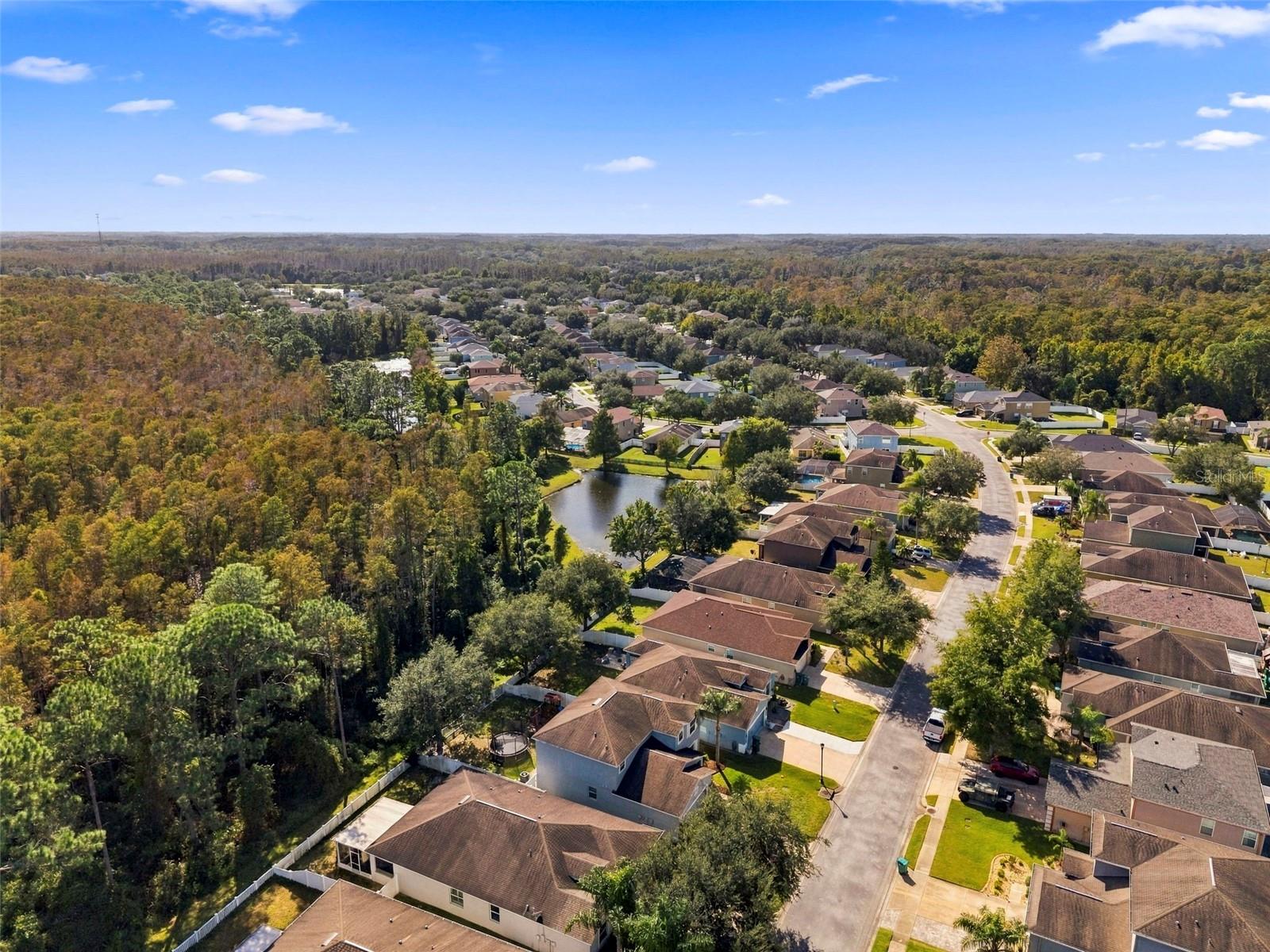 12832 SAULSTON PLACE, Hudson, FL 34669
