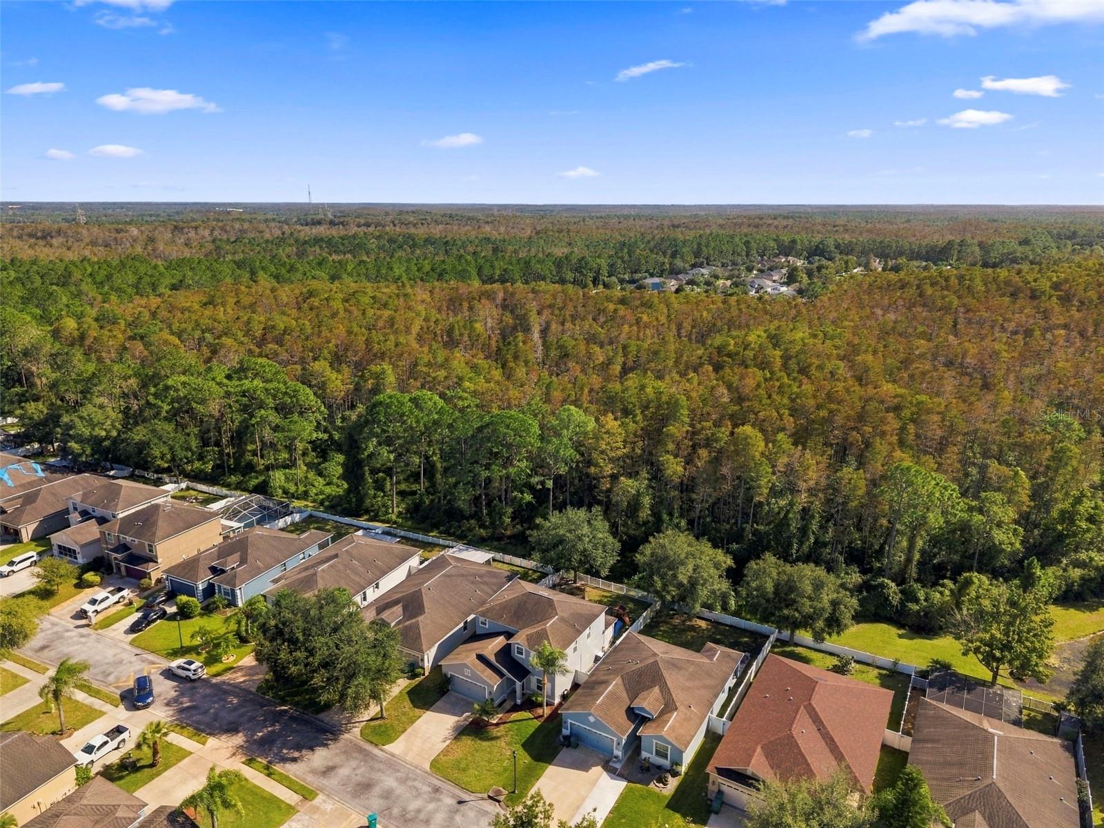 12832 SAULSTON PLACE, Hudson, FL 34669