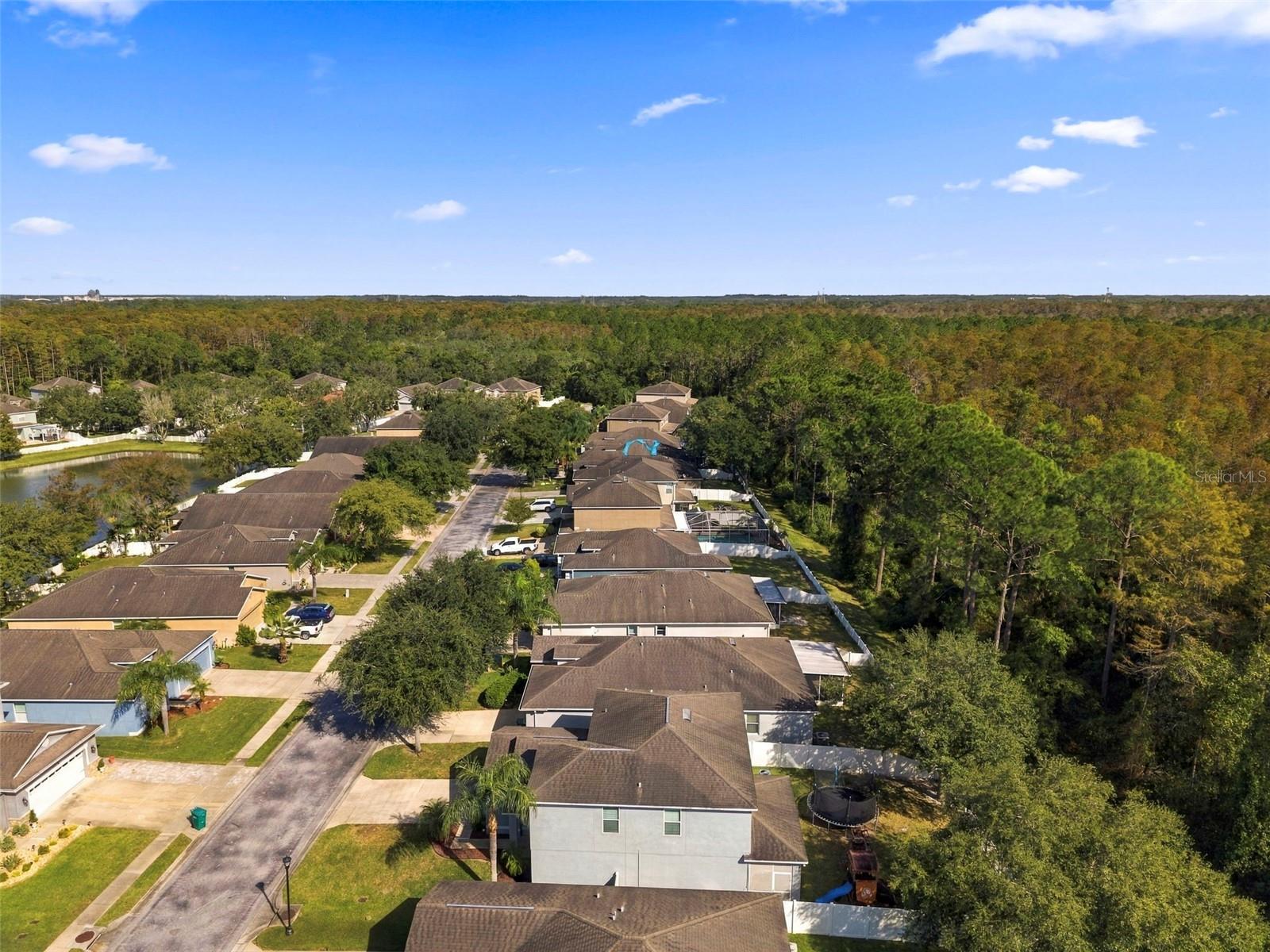 12832 SAULSTON PLACE, Hudson, FL 34669