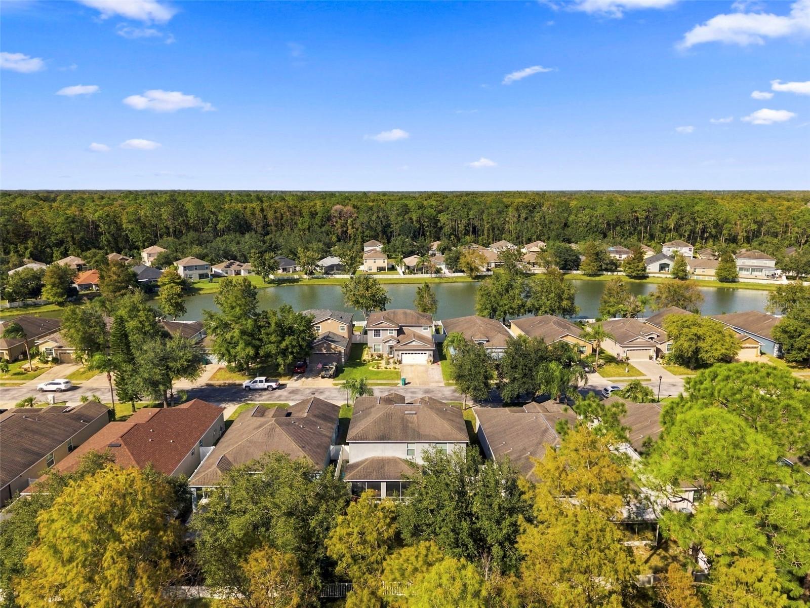 12832 SAULSTON PLACE, Hudson, FL 34669