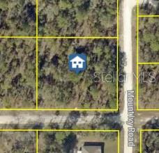 11331 SNEEZE ROAD, Weeki Wachee, FL 34614