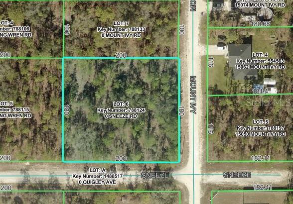 11331 SNEEZE ROAD, Weeki Wachee, FL 34614