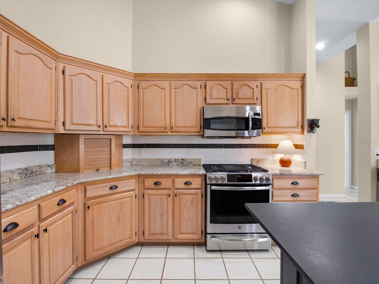8906 SKYMASTER DRIVE, New Port Richey, FL 34654