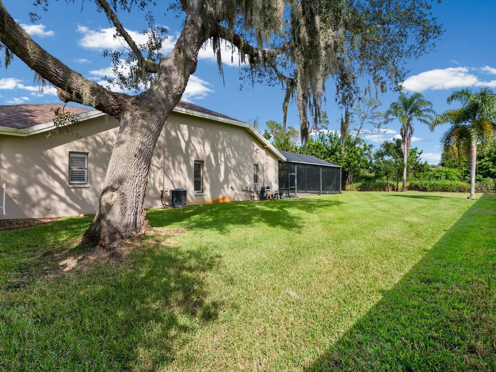 8906 SKYMASTER DRIVE, New Port Richey, FL 34654