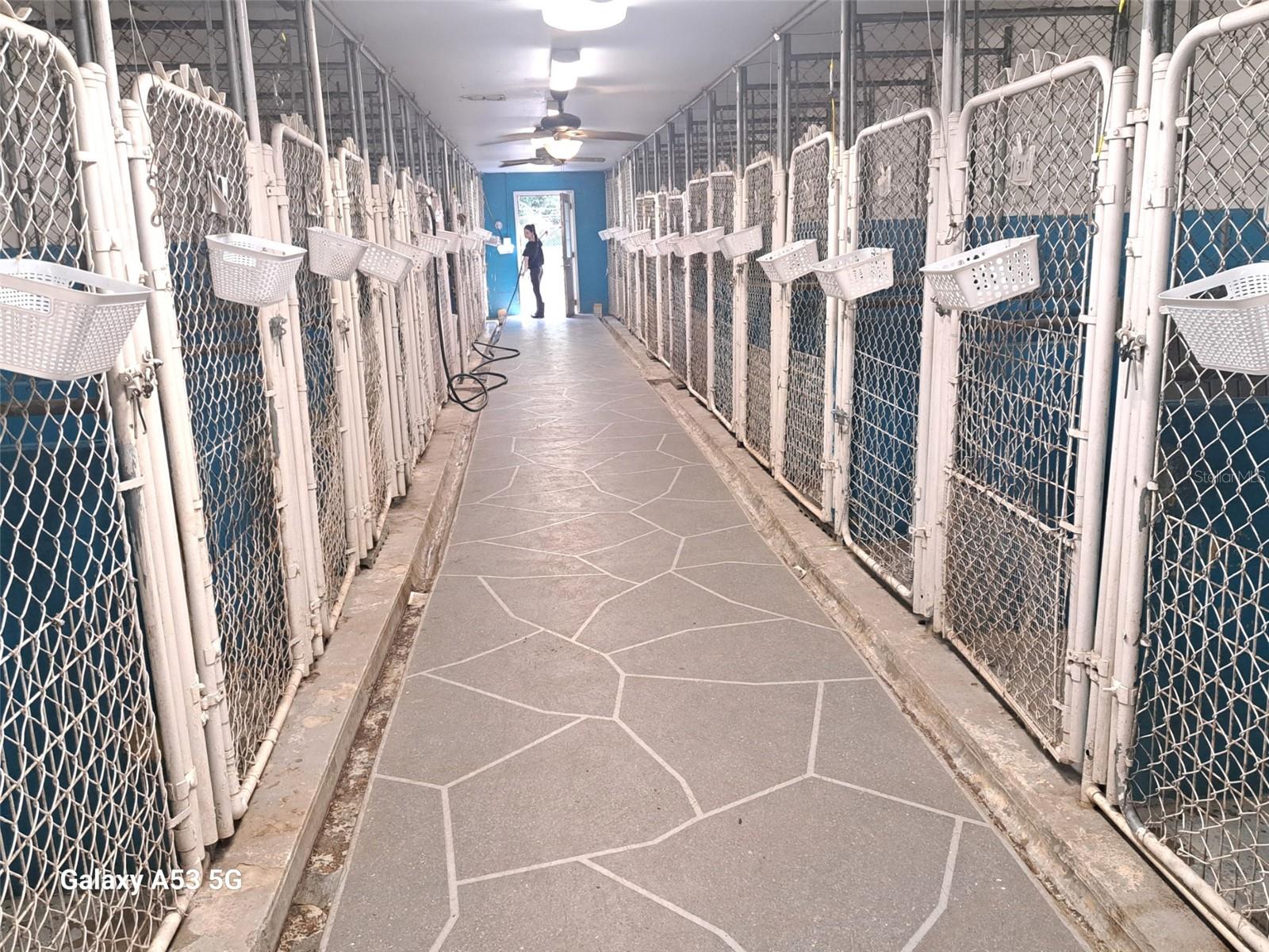 Kennels
