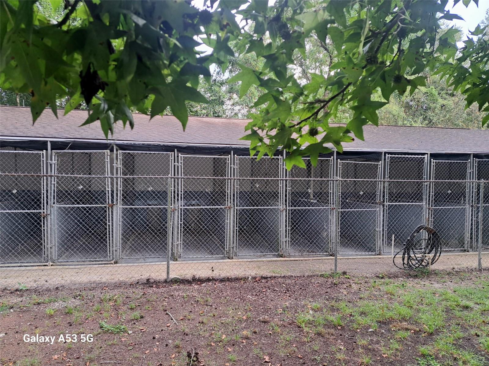 Kennels