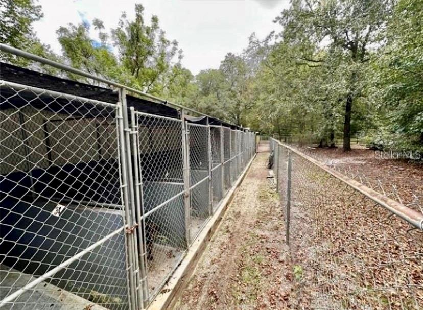 Large Dog Kennels Large Dog Kennels