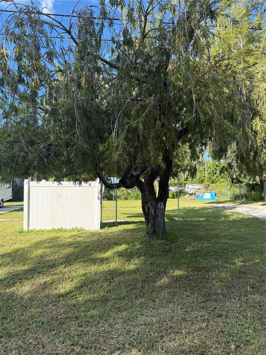 6711 BUTCH STREET, Port Richey, FL 34668 6711 BUTCH STREET, Port Richey, FL 34668