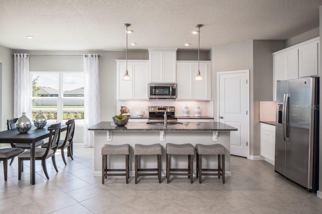 6039 WILD PETUNIA DRIVE, Wimauma, FL 33598