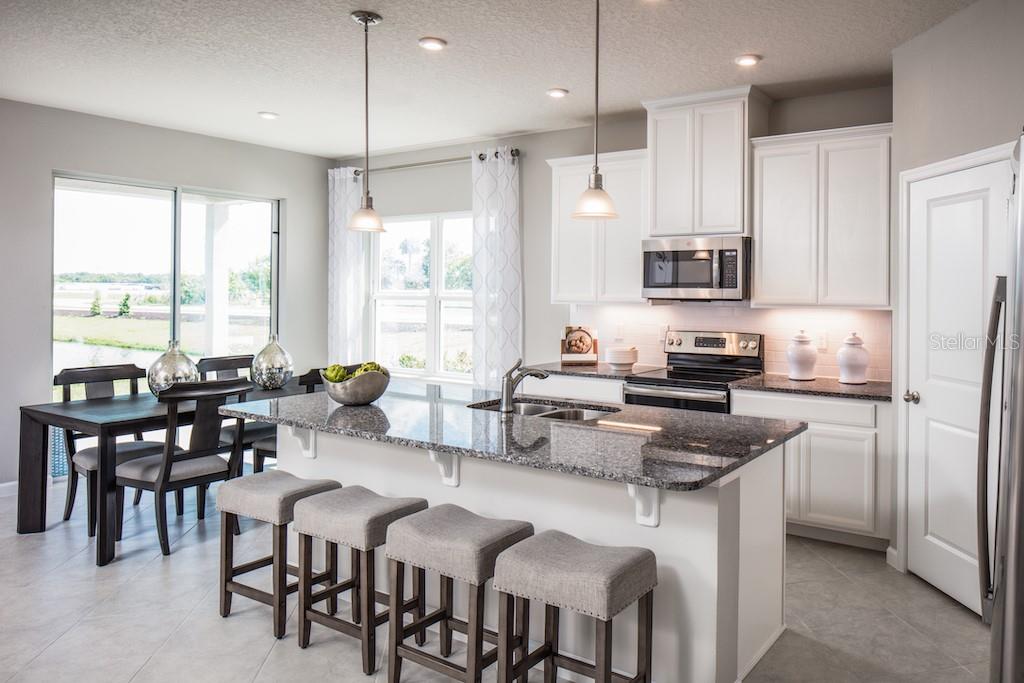 6039 WILD PETUNIA DRIVE, Wimauma, FL 33598