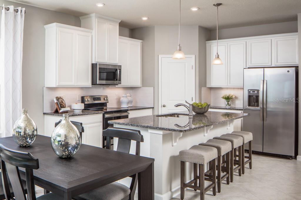 6039 WILD PETUNIA DRIVE, Wimauma, FL 33598