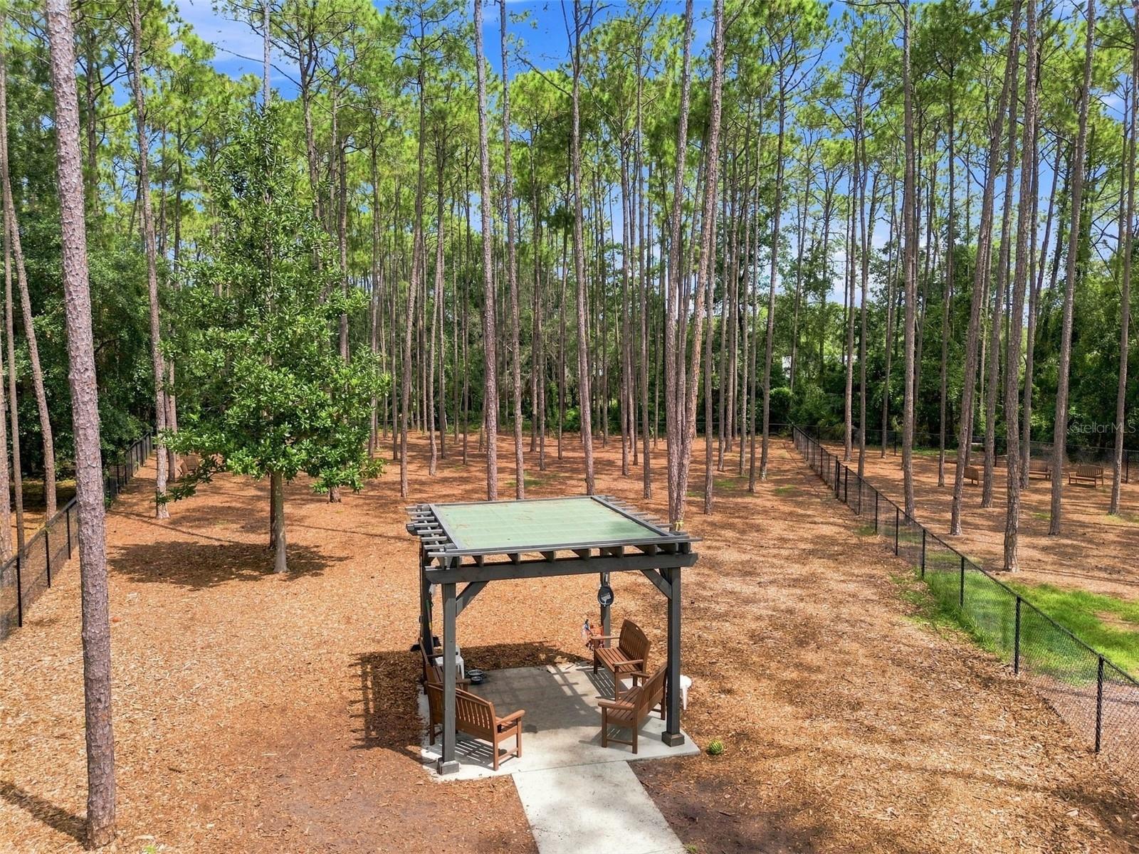 Dog park