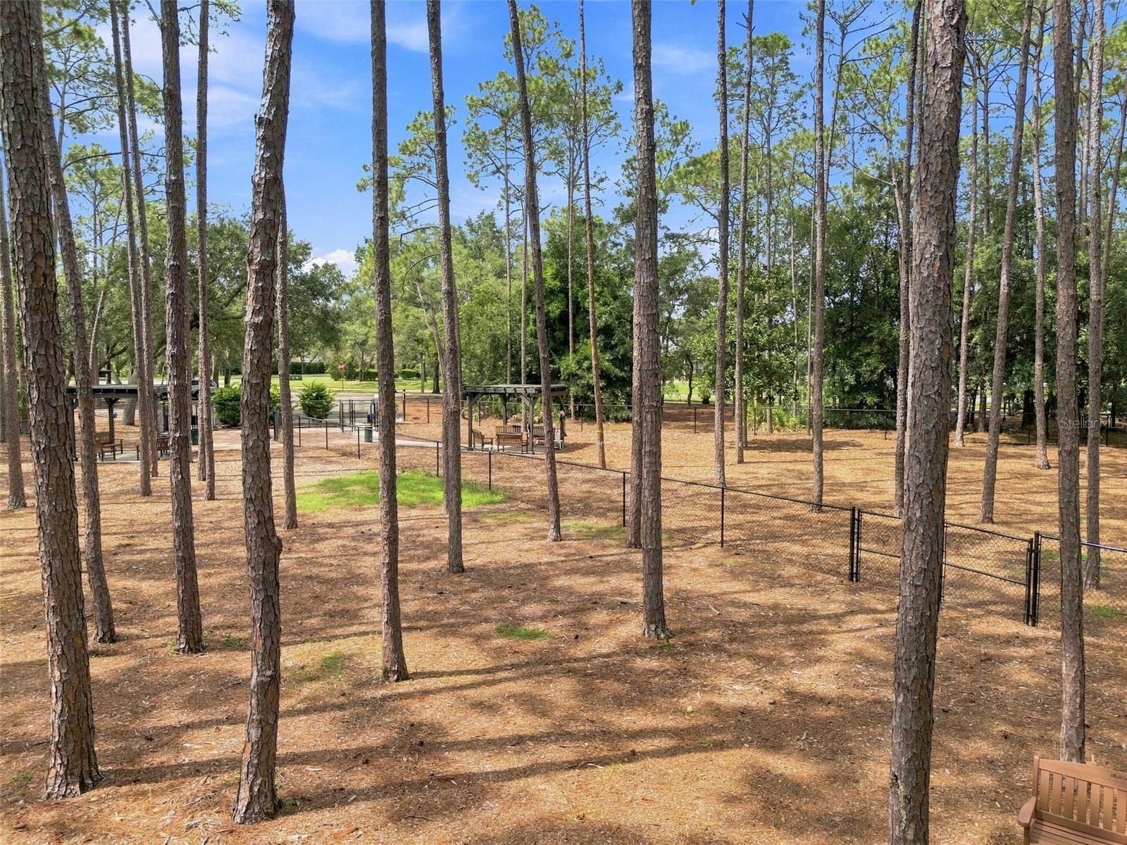 Dog Park
