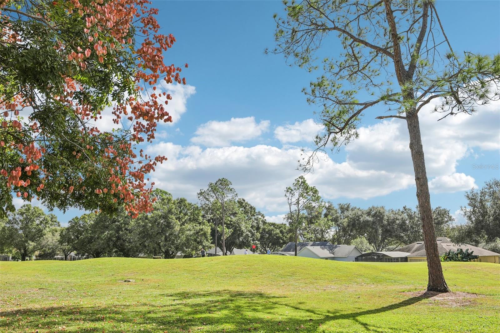 15052 GREEN VALLEY BOULEVARD, Clermont, FL 34711