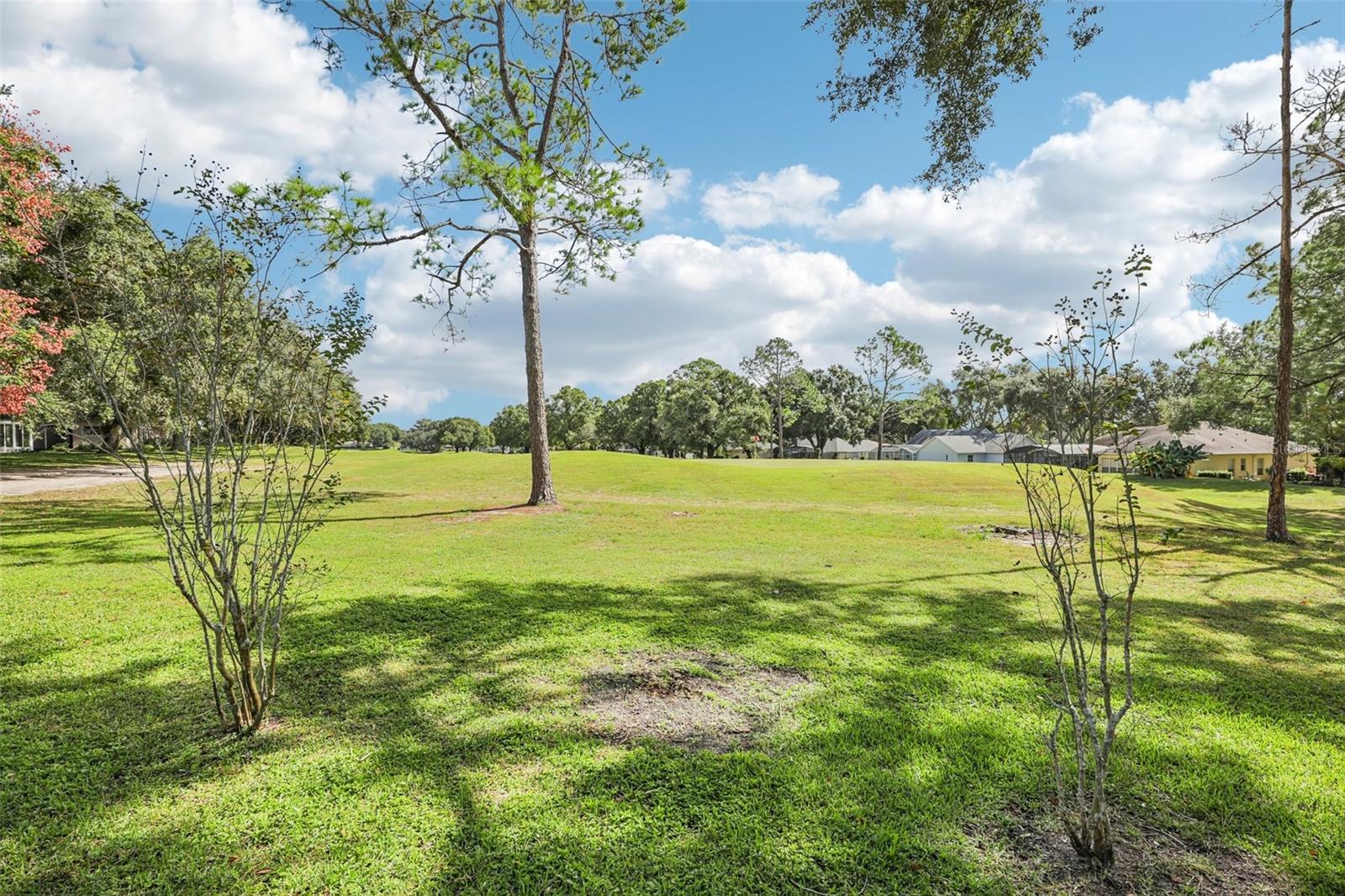 15052 GREEN VALLEY BOULEVARD, Clermont, FL 34711
