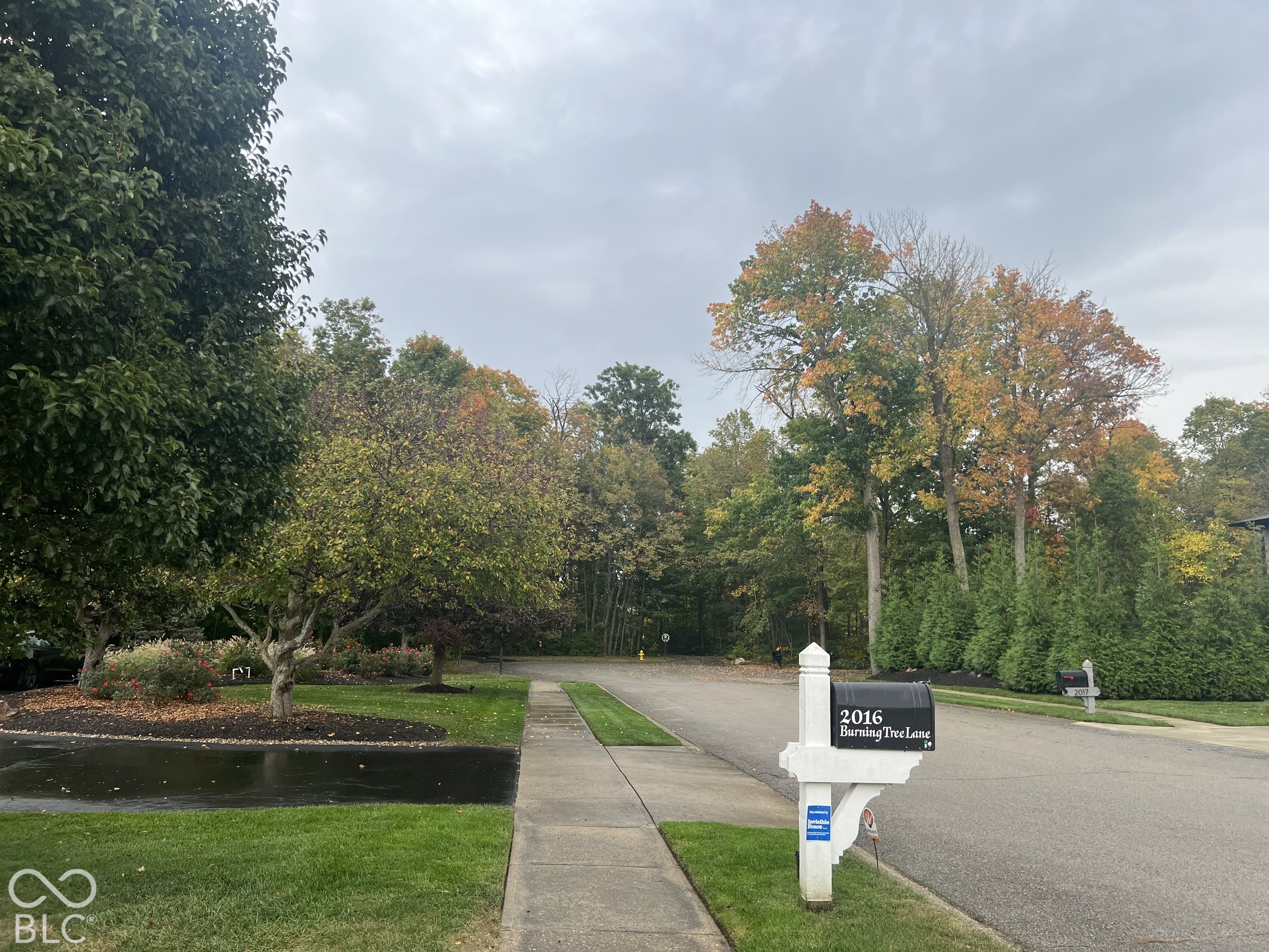 View from Front of Home facing East