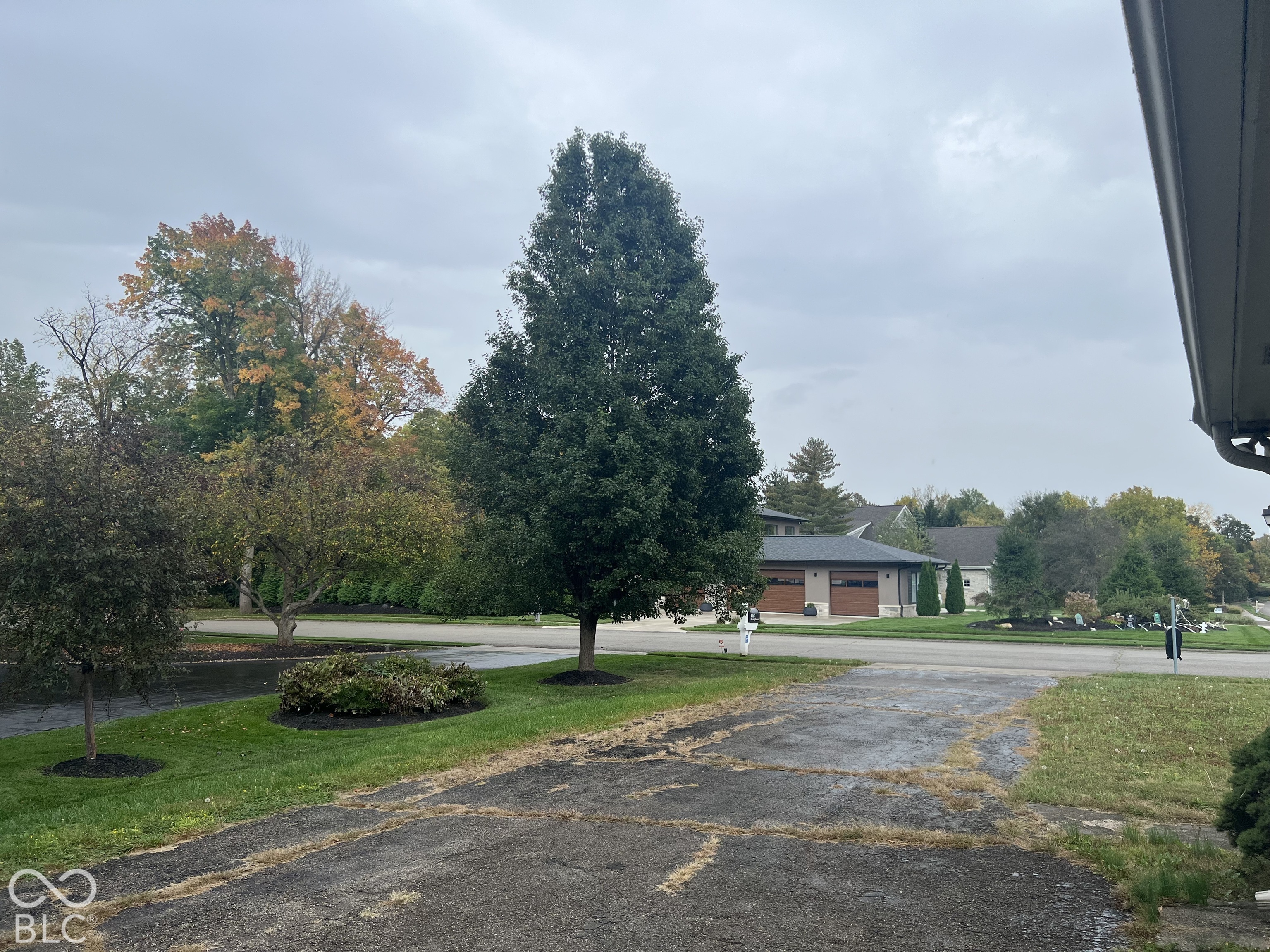 Asphalt driveway looking south