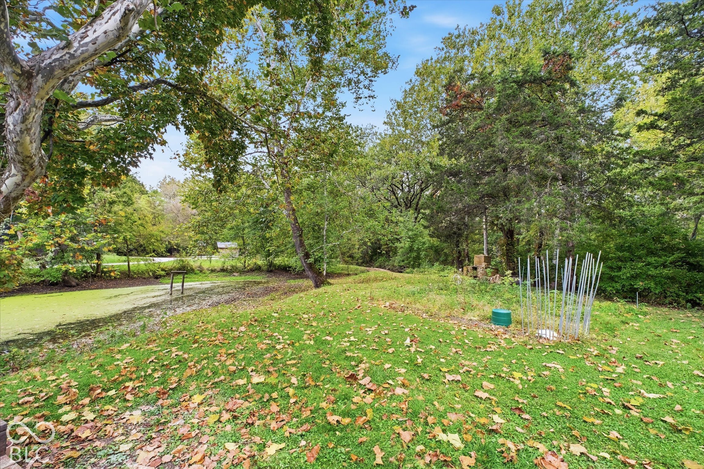Expansive green space with mature trees and a tranquil water feature