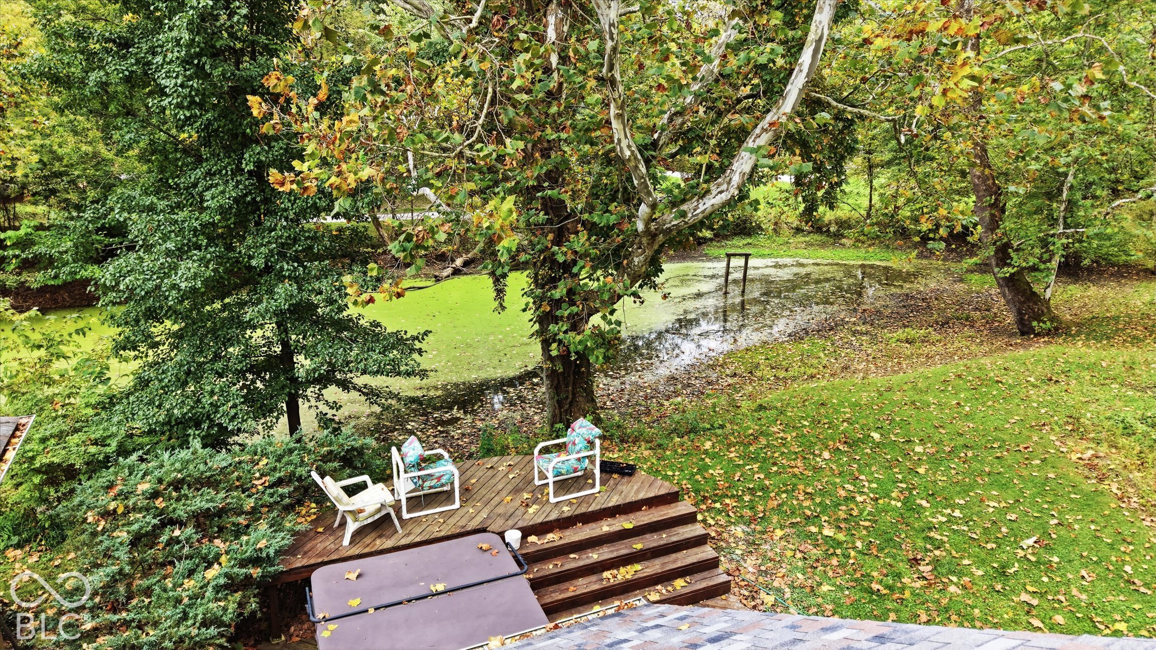 Tiered wood deck with integrated steps, surrounded by mature trees and lush landscaping