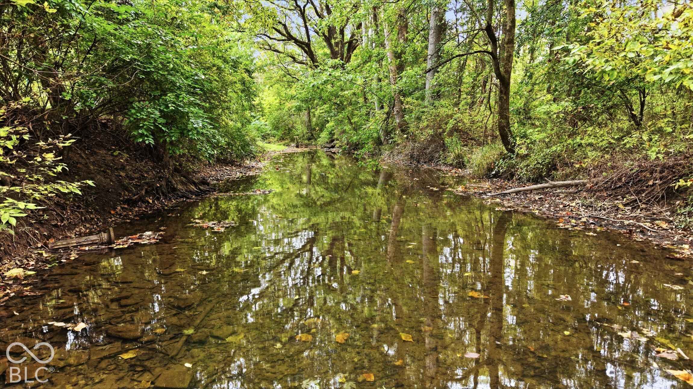 Little Eagle Creek