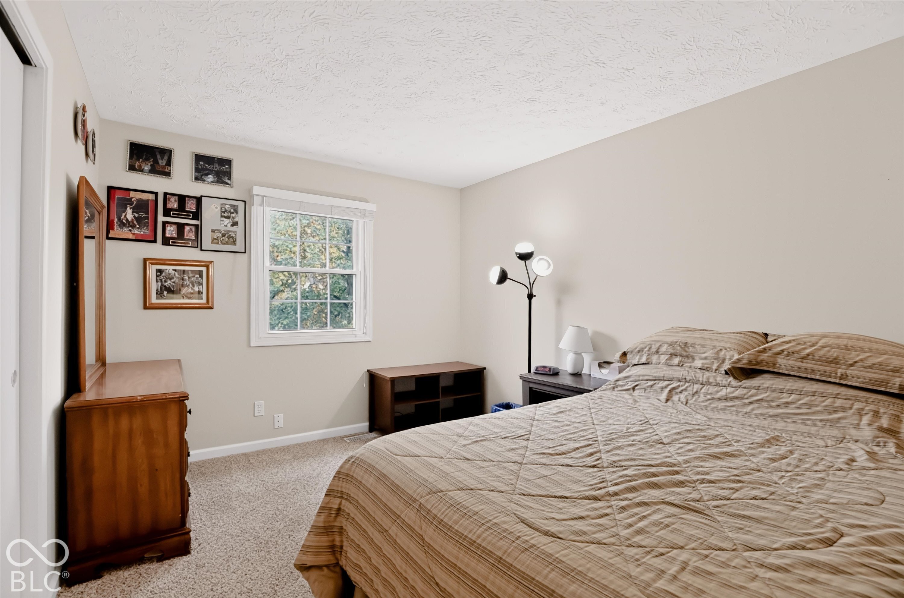 Bedroom featuring neutral wall paint, carpeted flooring, and a window with white trim