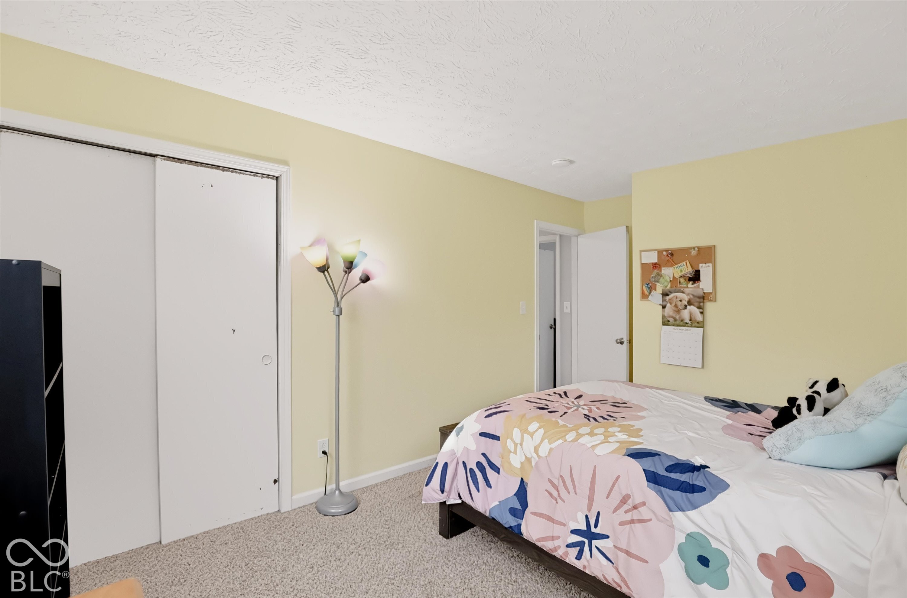 Interior room featuring neutral wall paint, wall-to-wall carpeting, and a double-door sliding closet