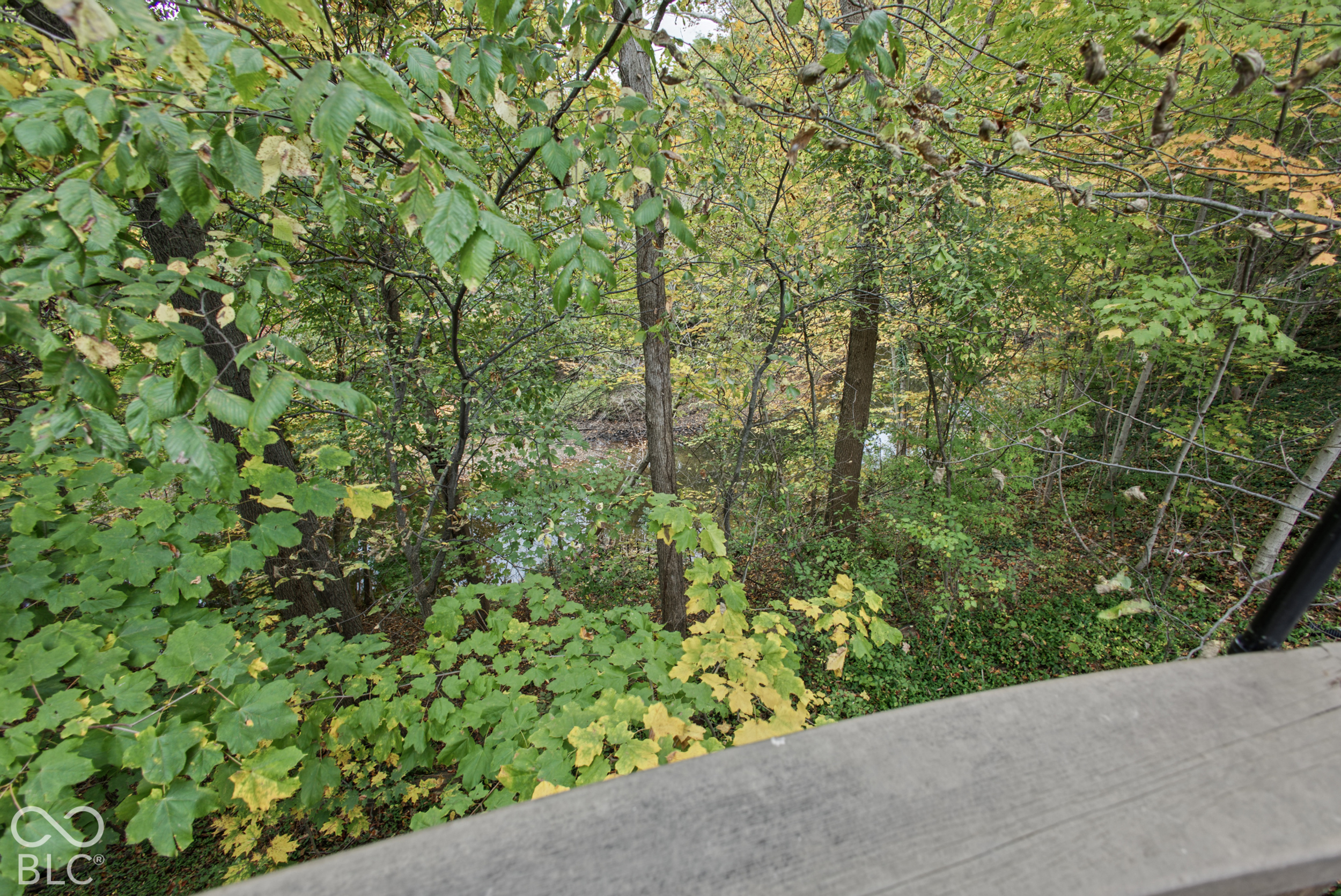 12416 Windsor Drive, Carmel, IN 46033