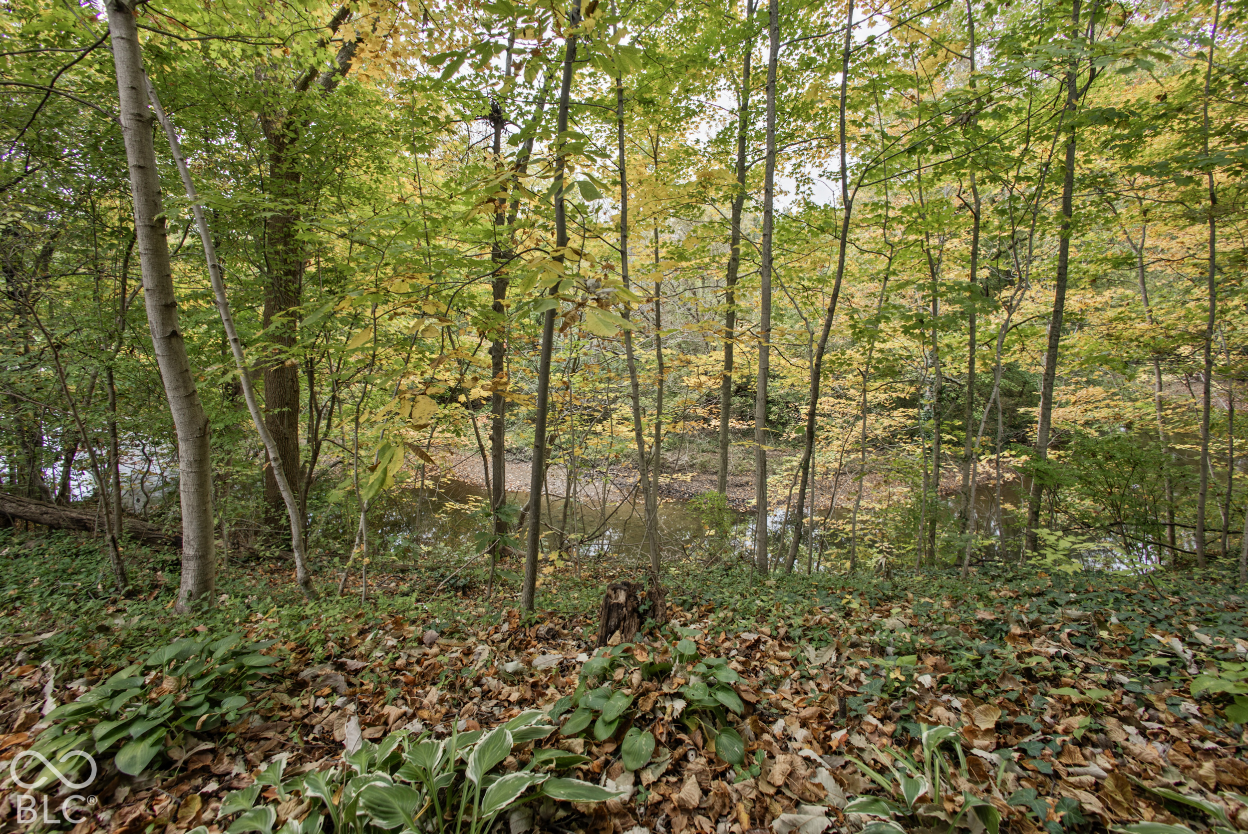 12416 Windsor Drive, Carmel, IN 46033