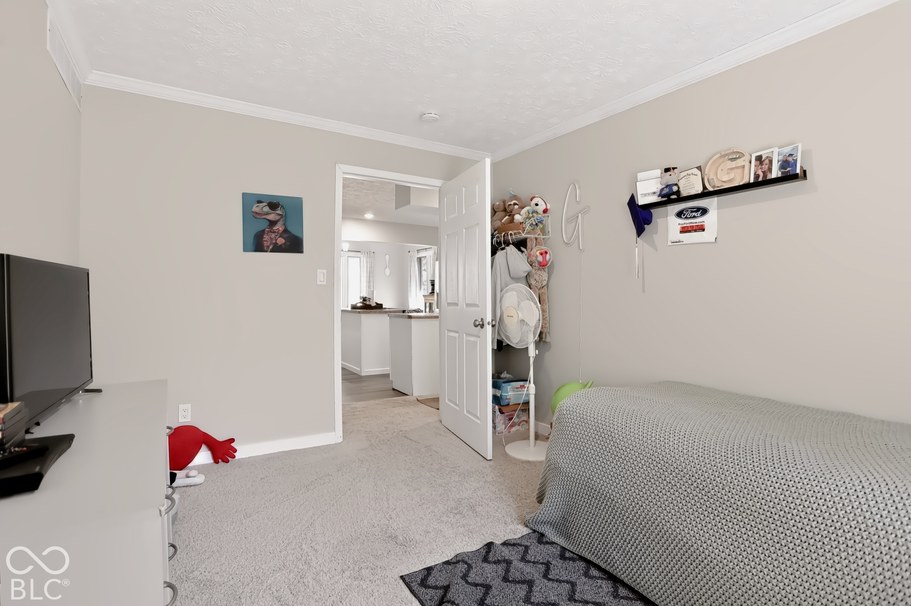 Carpeted flooring, crown molding, and a built-in closet with a white door