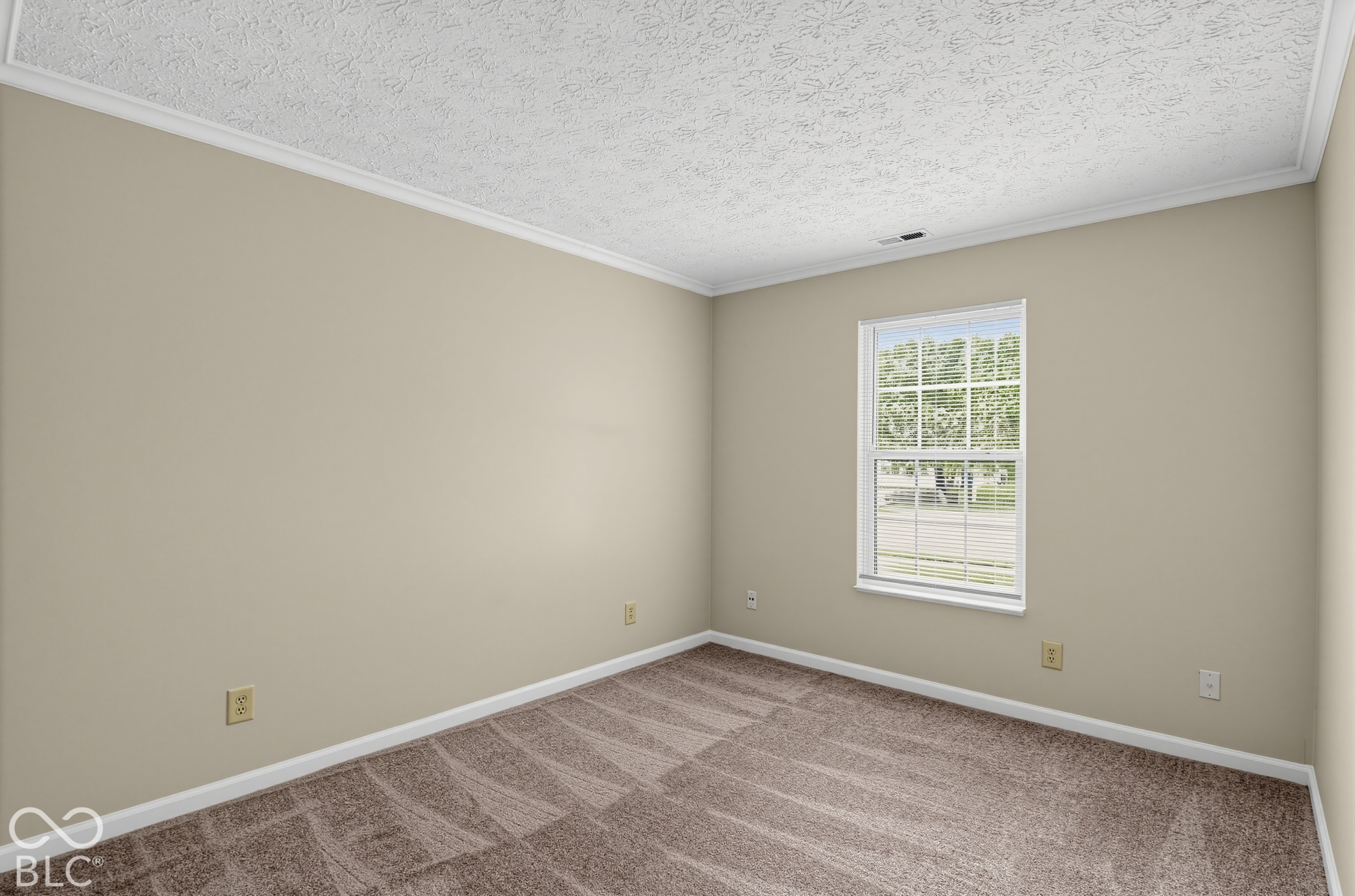 Room featuring neutral wall paint, textured ceiling, carpeting, and a double-hung window
