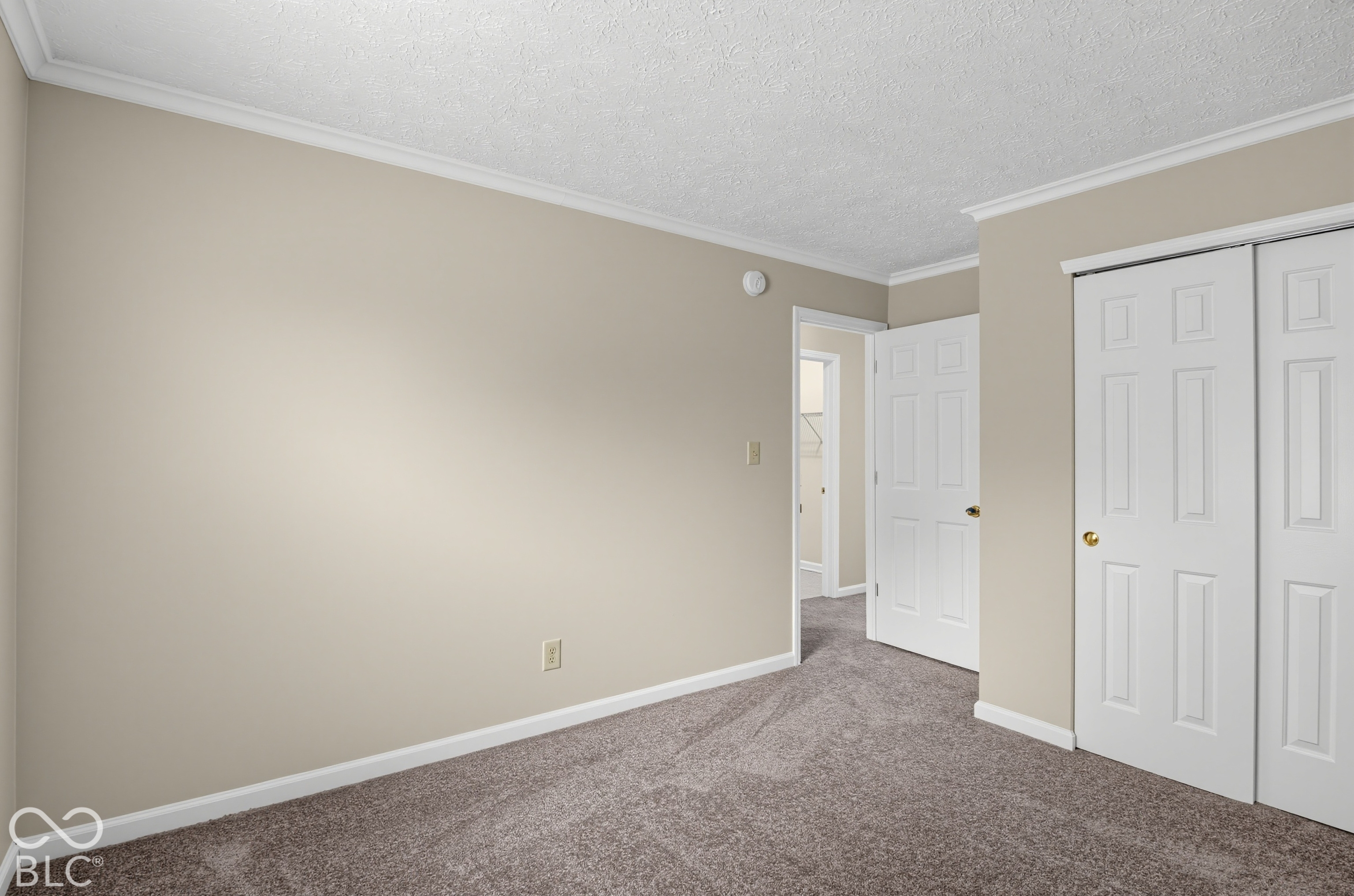 Neutral wall tones, wall-to-wall carpeting, crown molding, and a closet with multi-panel doors