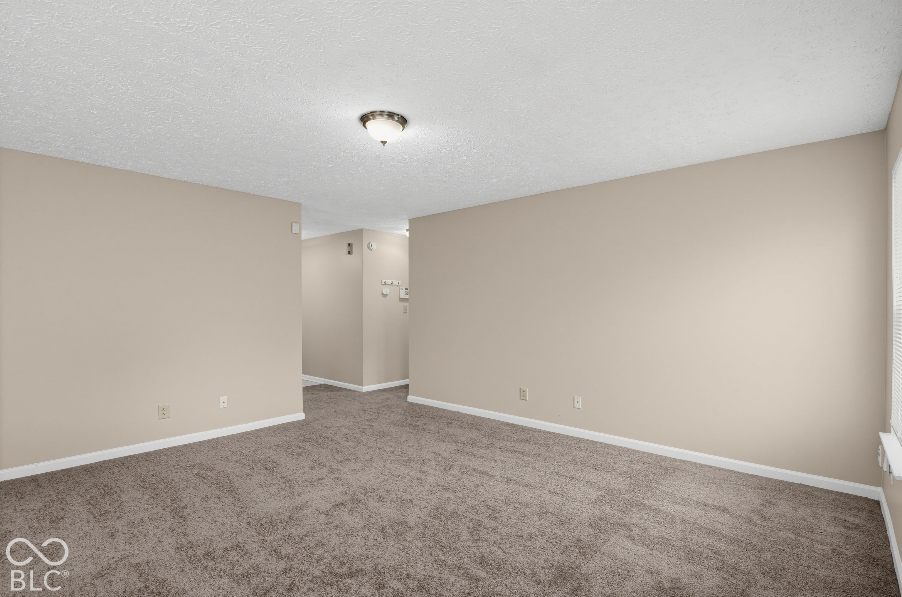 Neutral-toned interior space featuring textured carpeting, painted walls, and a ceiling-mounted light fixture