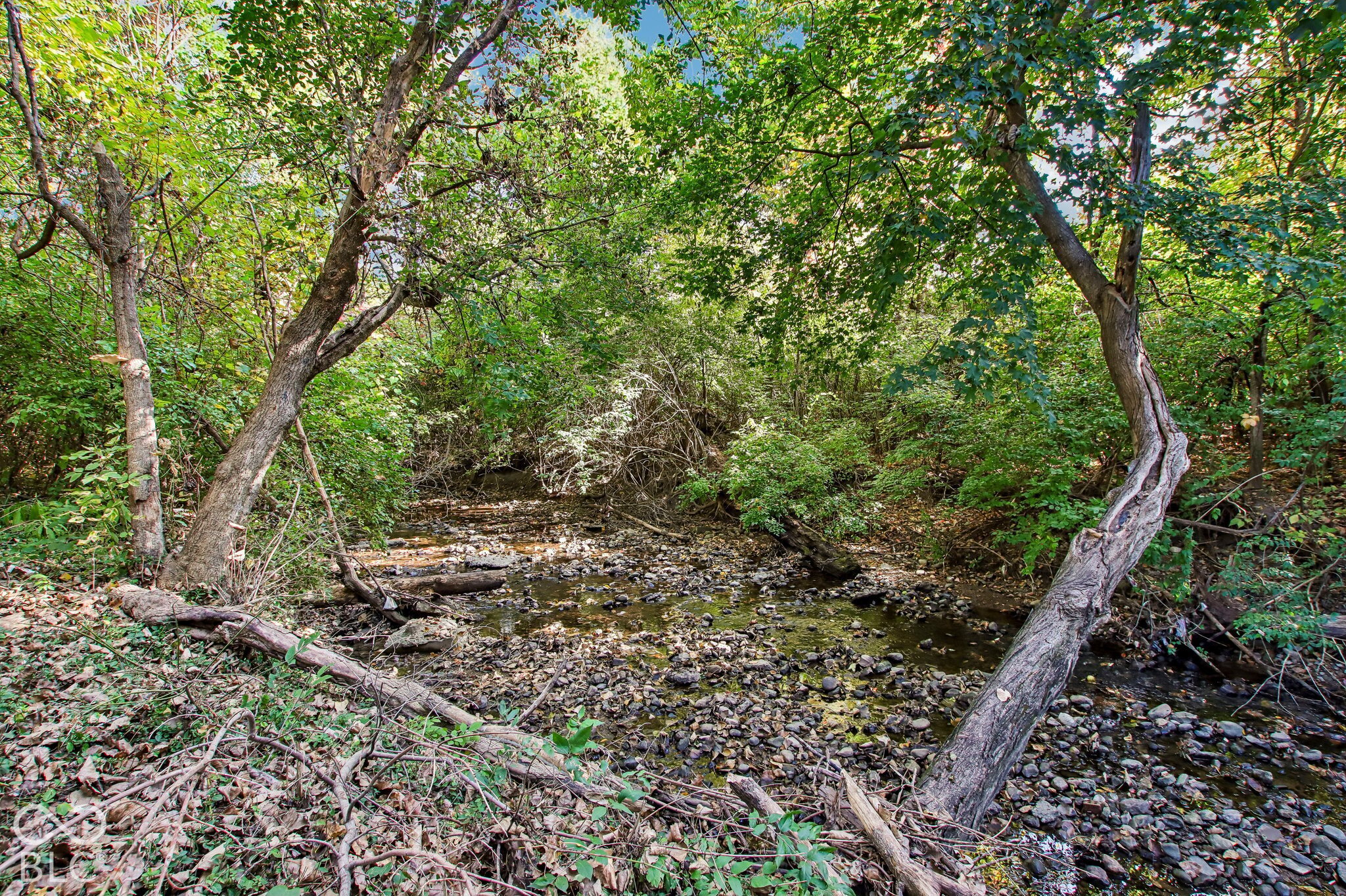 537 S 4th Avenue, Beech Grove, IN 46107