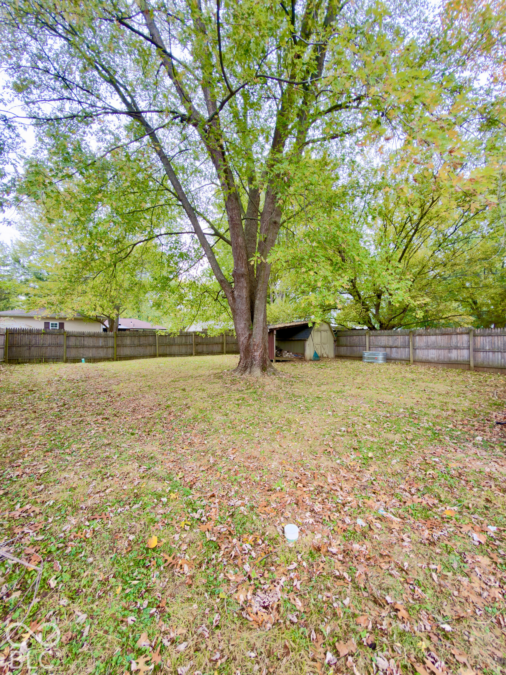 Expansive backyard featuring a mature canopy tree, wood-paneled privacy fencing, and a built-in storage structure