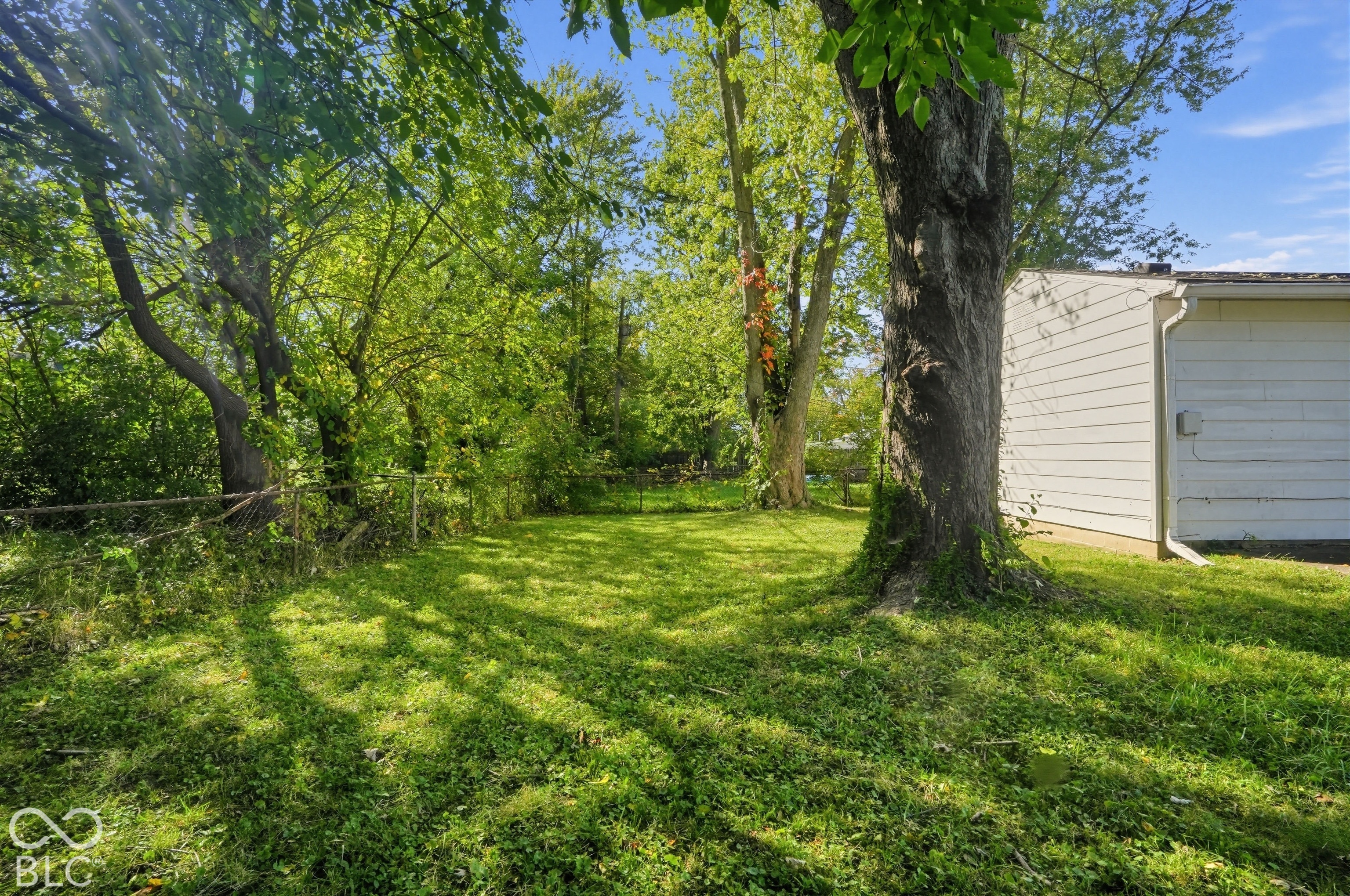 Backyard area featuring mature trees, chain-link fencing, and horizontal siding exterior