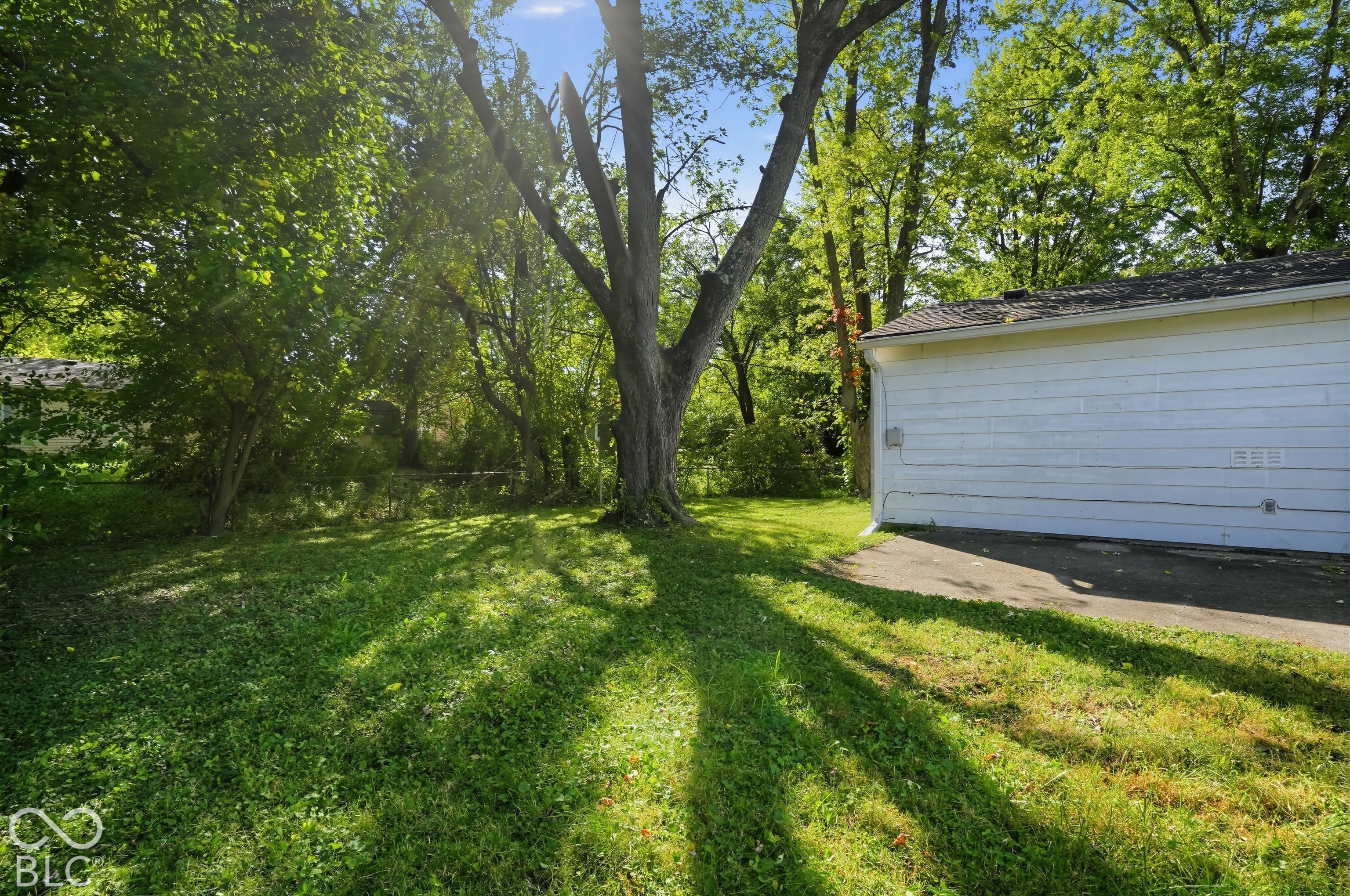 Backyard featuring a grass lawn, mature trees, and an exterior wall of a detached structure with siding