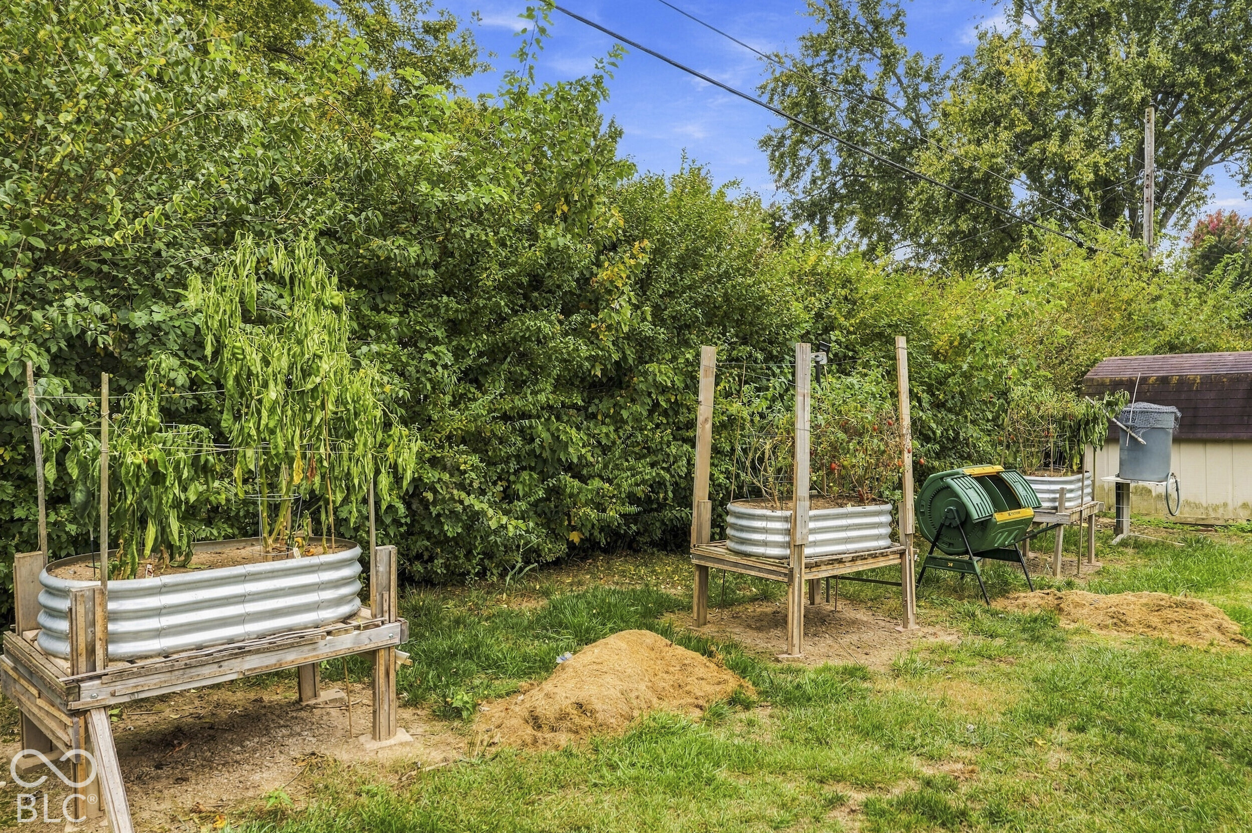 Backyard garden featuring elevated corrugated metal planter beds on wood supports and mature privacy hedging.
