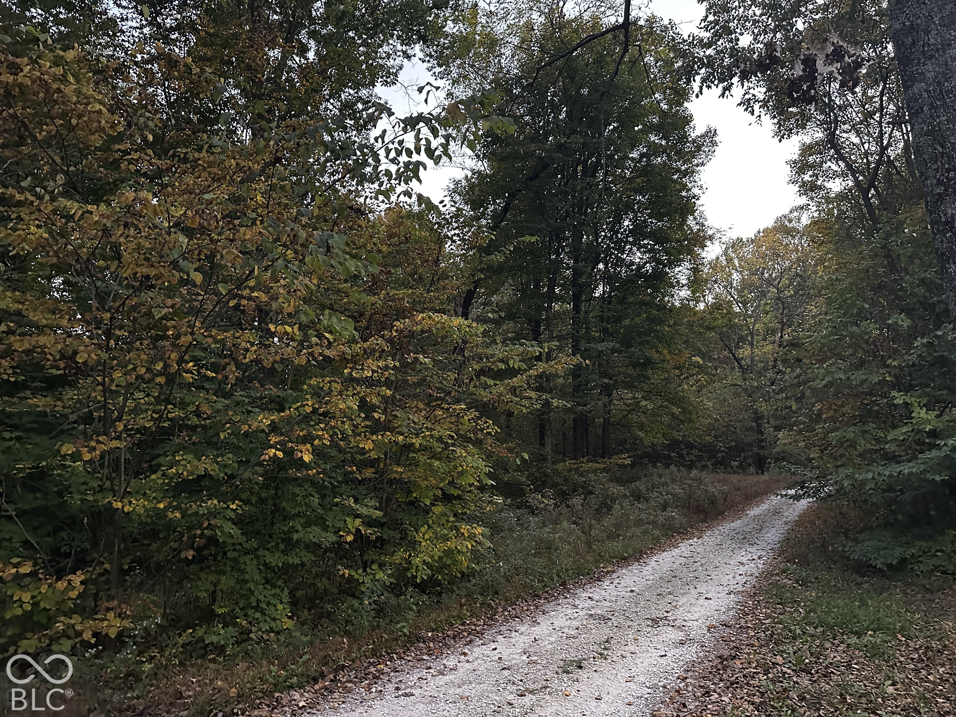 4115 W Ivanwald, Reelsville, IN 46171
