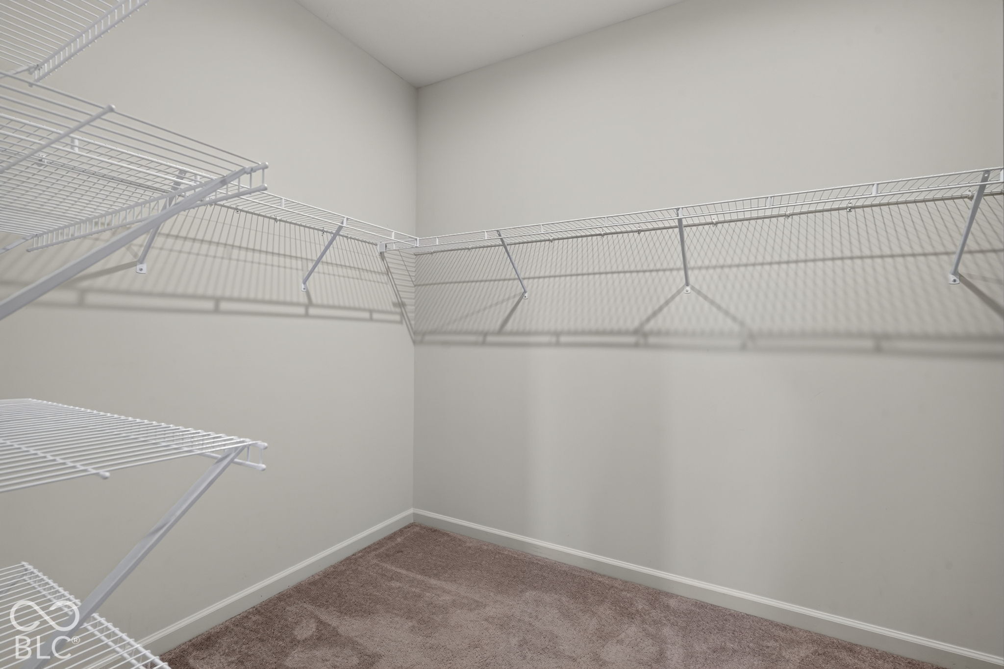 Walk-in closet featuring wall-to-wall carpeting and tiered white wire shelving