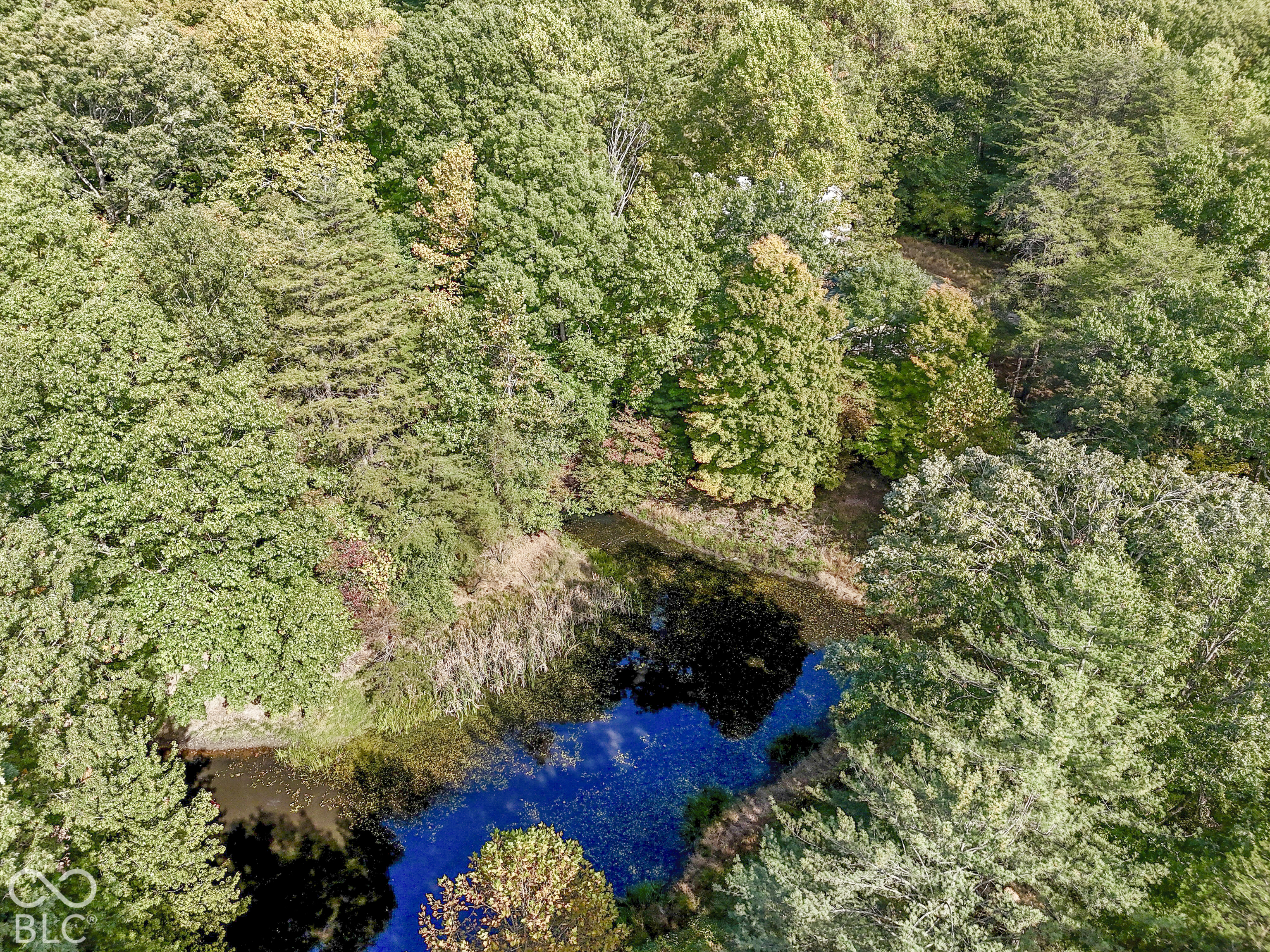 3672 W Hougham Drive, Trafalgar, IN 46181