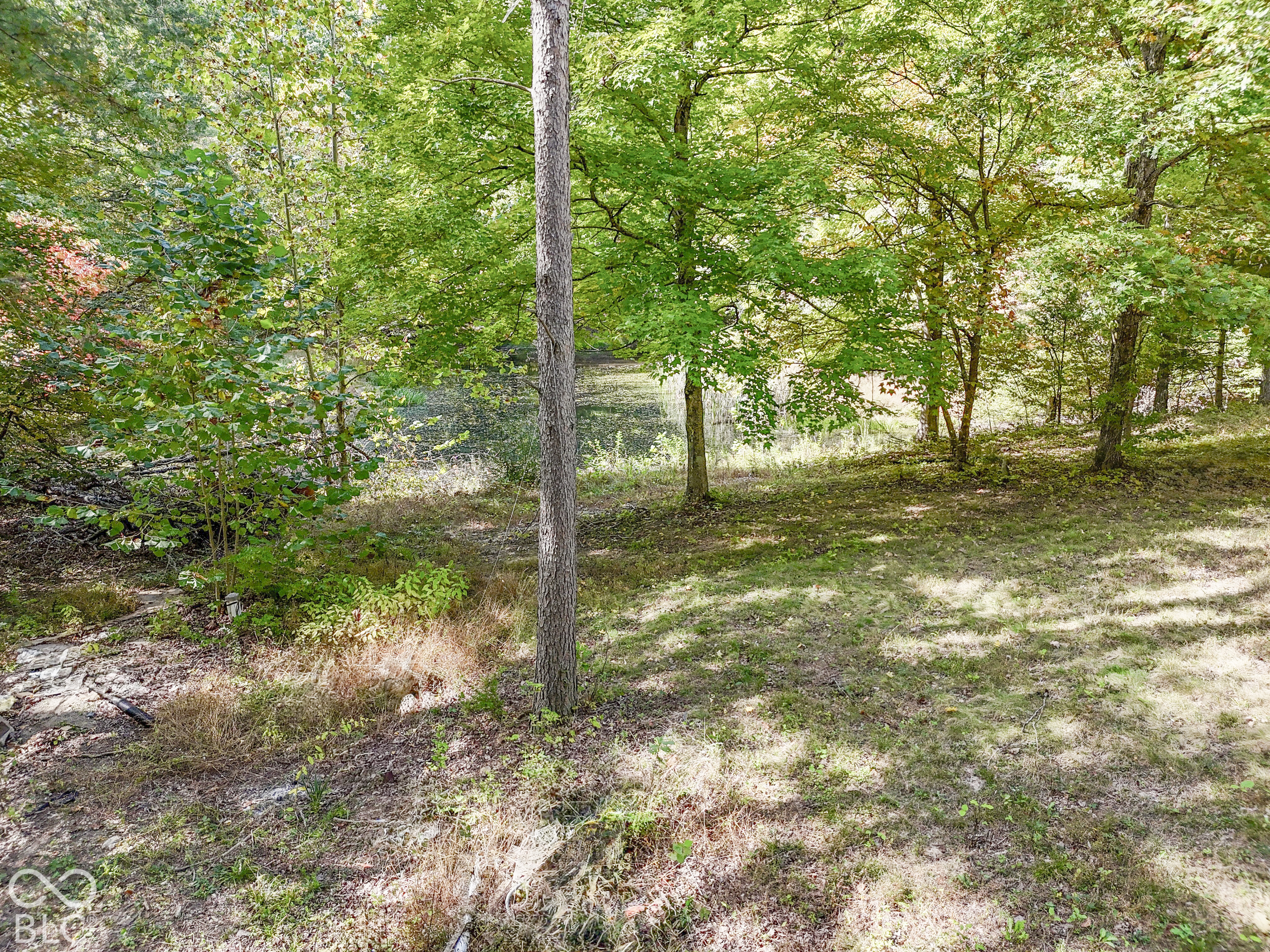 3672 W Hougham Drive, Trafalgar, IN 46181