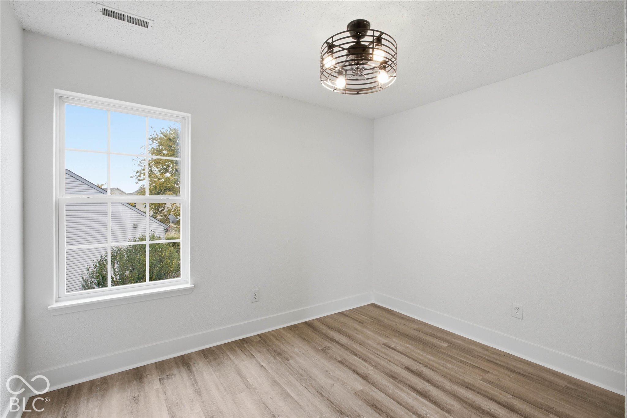 Neutral interior space featuring wood-finish flooring, a multi-pane window, and a cage-style industrial ceiling light fixture