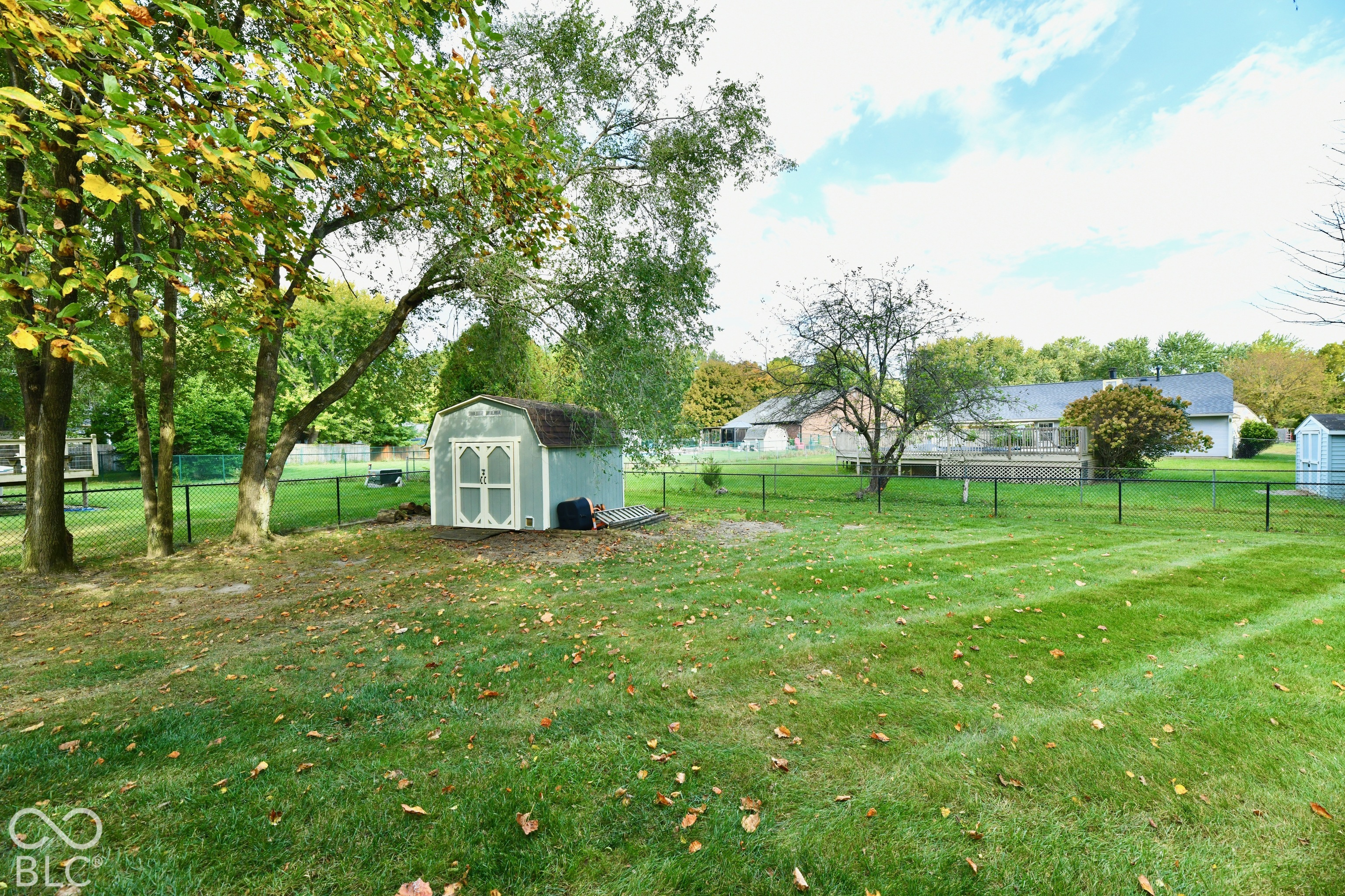 Spacious backyard featuring a manicured lawn, perimeter chain-link fencing, mature trees, and a detached storage shed