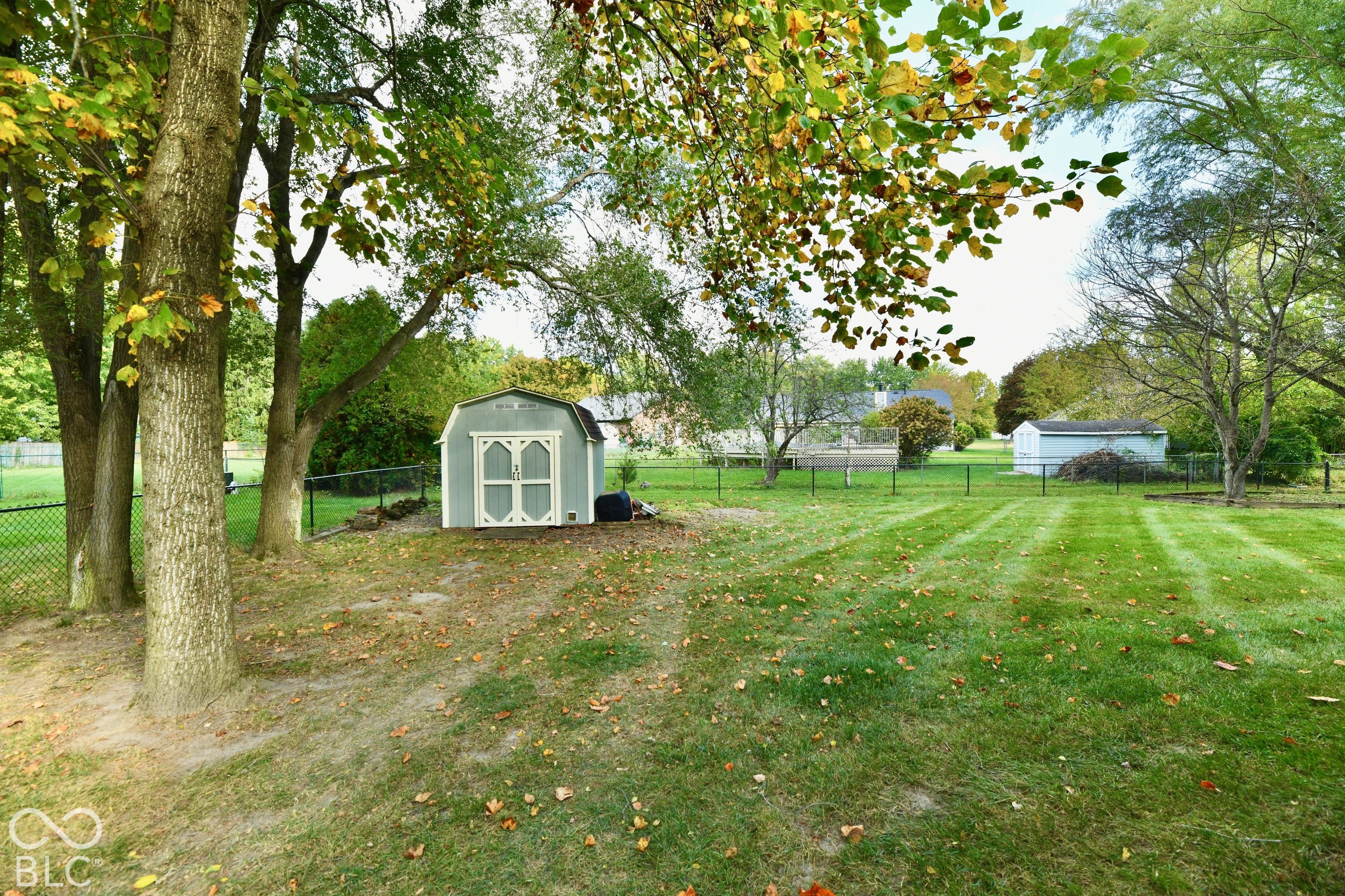 Expansive backyard featuring a fenced perimeter, mature trees, and a detached storage shed