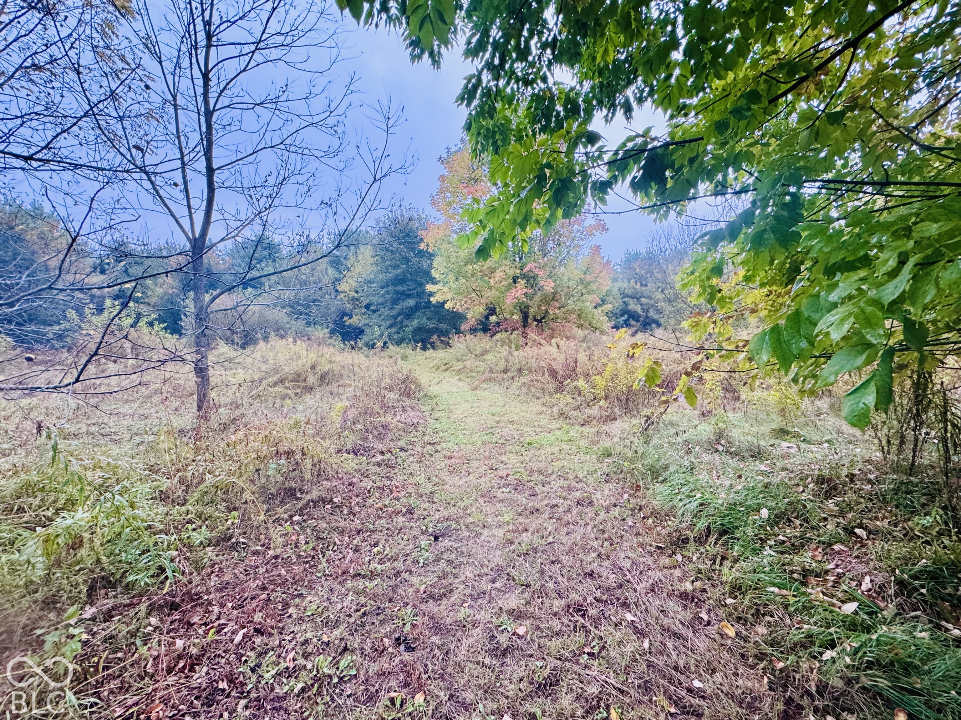 4550 W Grassy Road, Jamestown, IN 46147
